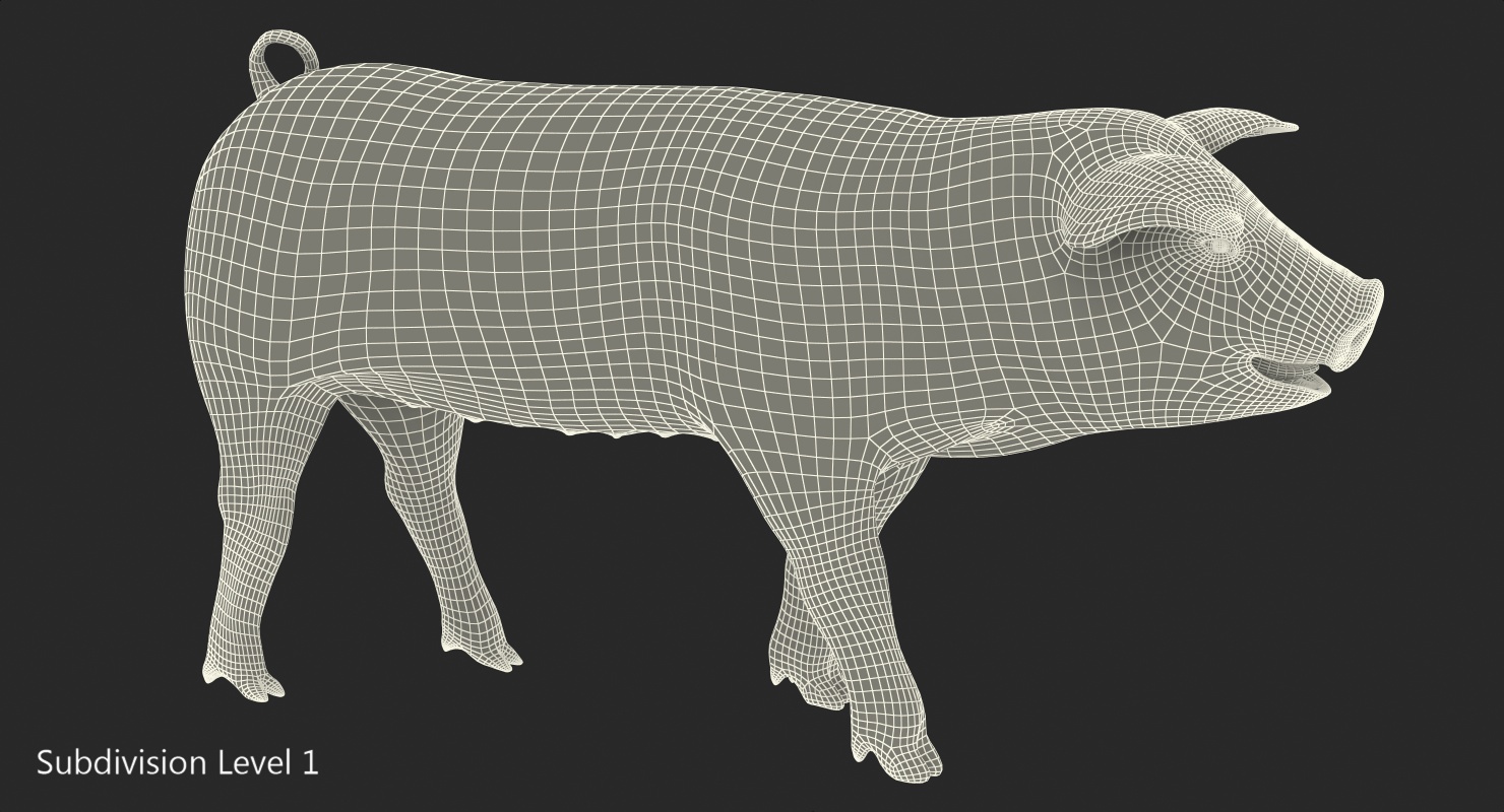 3D Hampshire Pig Piglet Walking Pose model