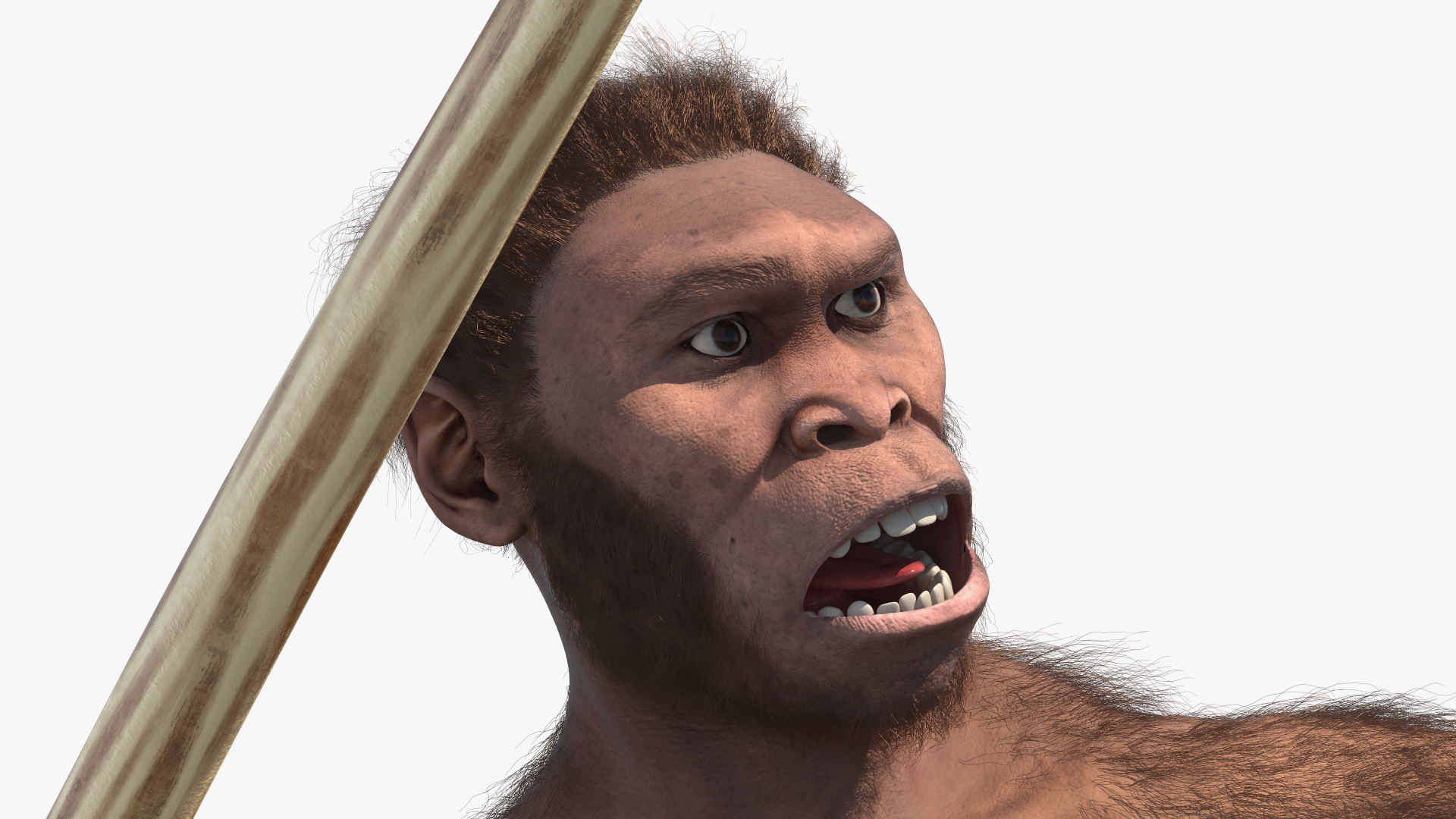 Homo Habilis with Spear Fur 3D