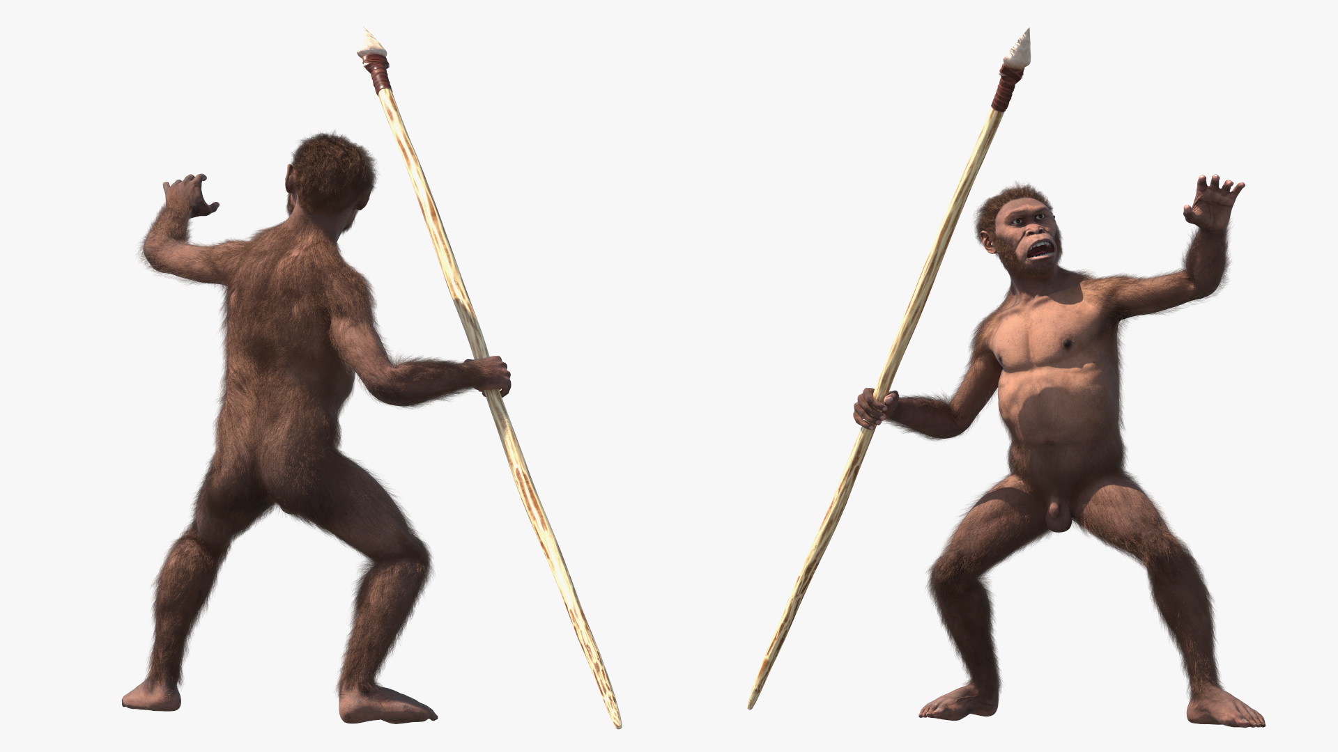 Homo Habilis with Spear Fur 3D