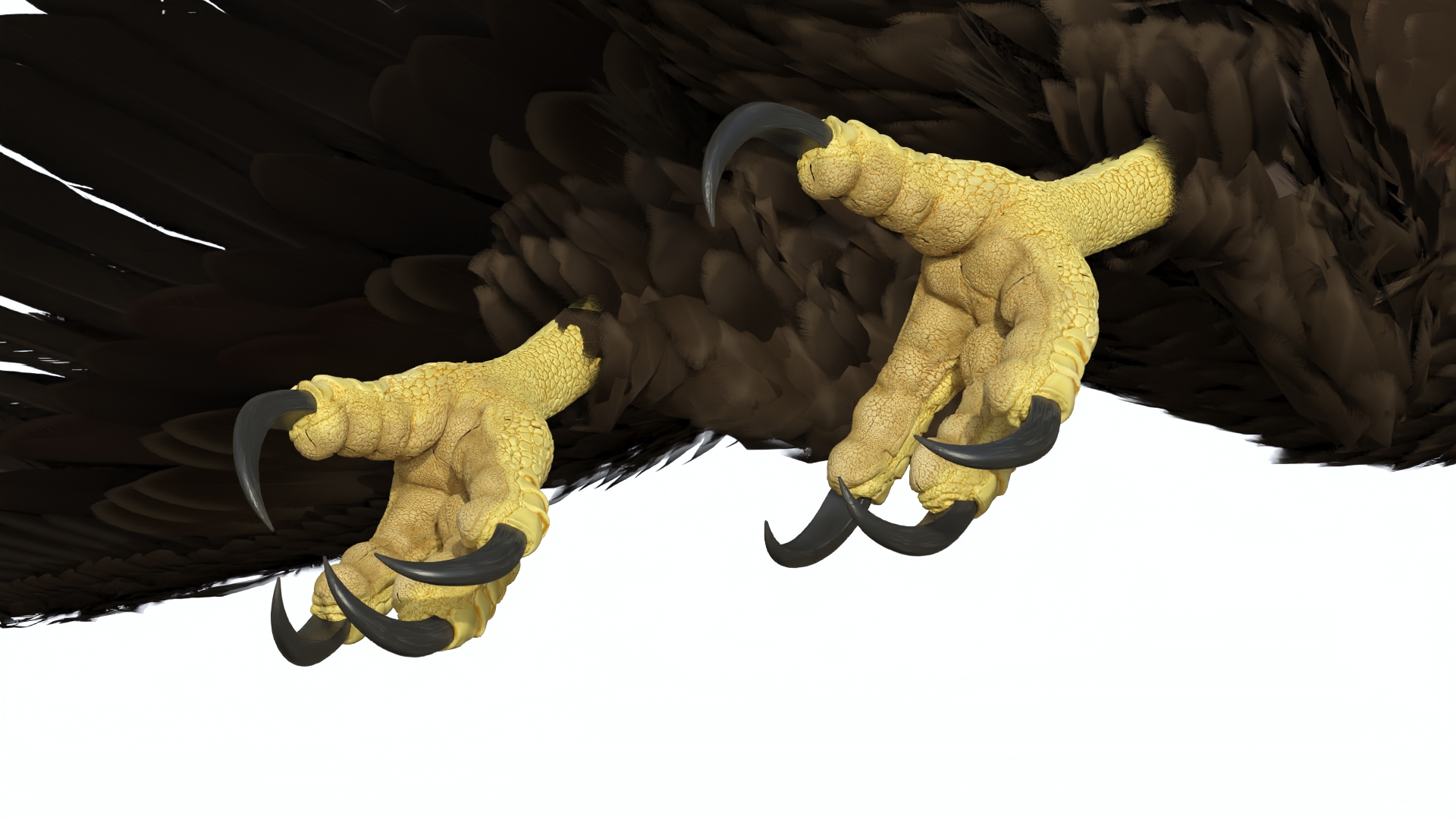 Realistic Bald Eagle Rigged 3D