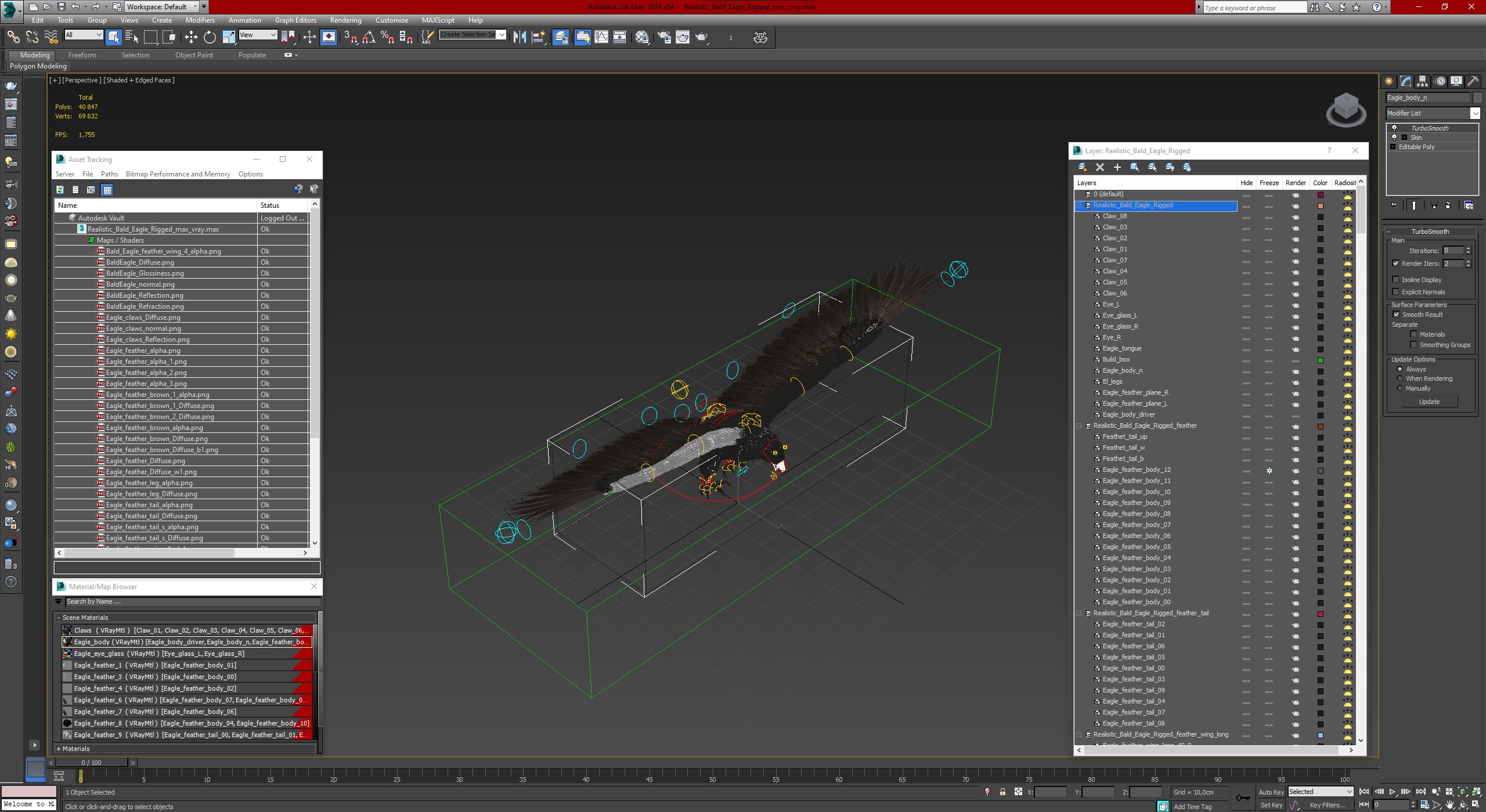 Realistic Bald Eagle Rigged 3D