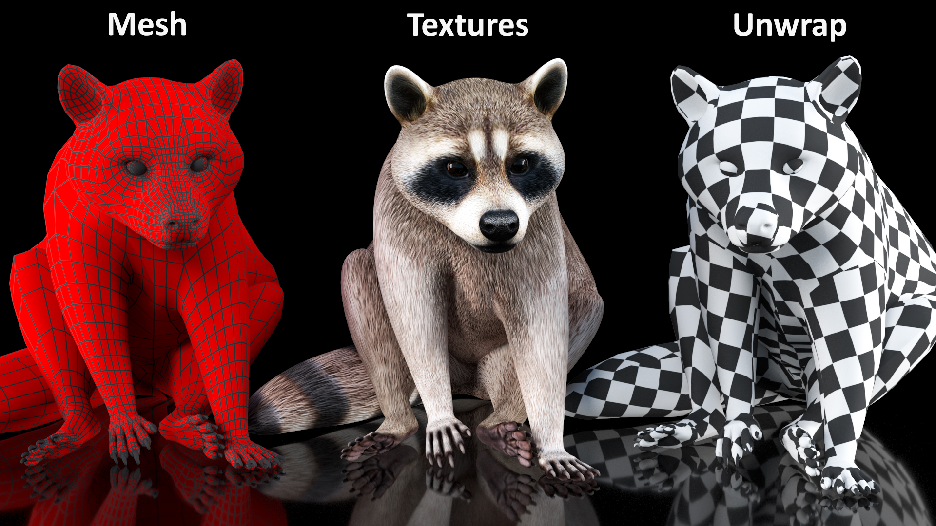 3D model Raccoon Sitting Pose