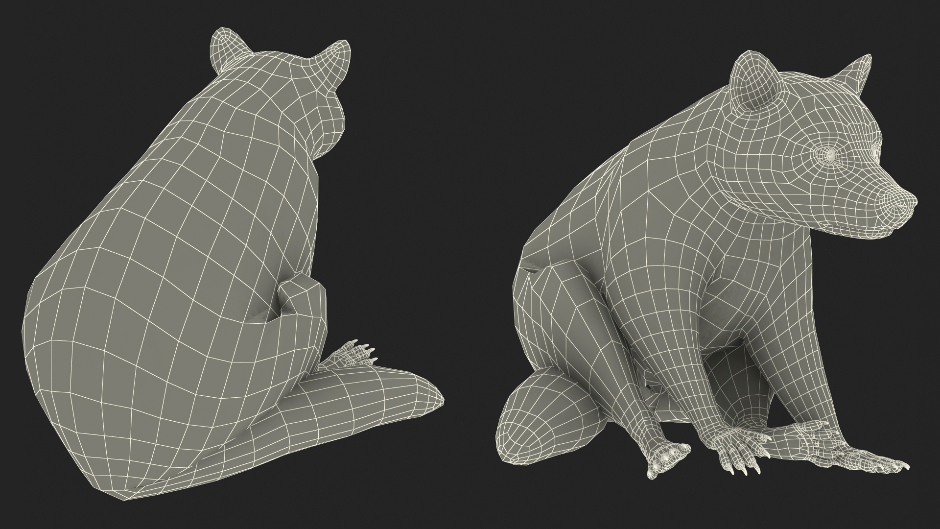 3D model Raccoon Sitting Pose