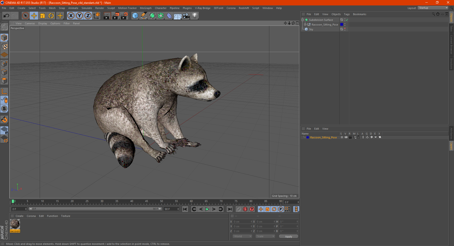 3D model Raccoon Sitting Pose