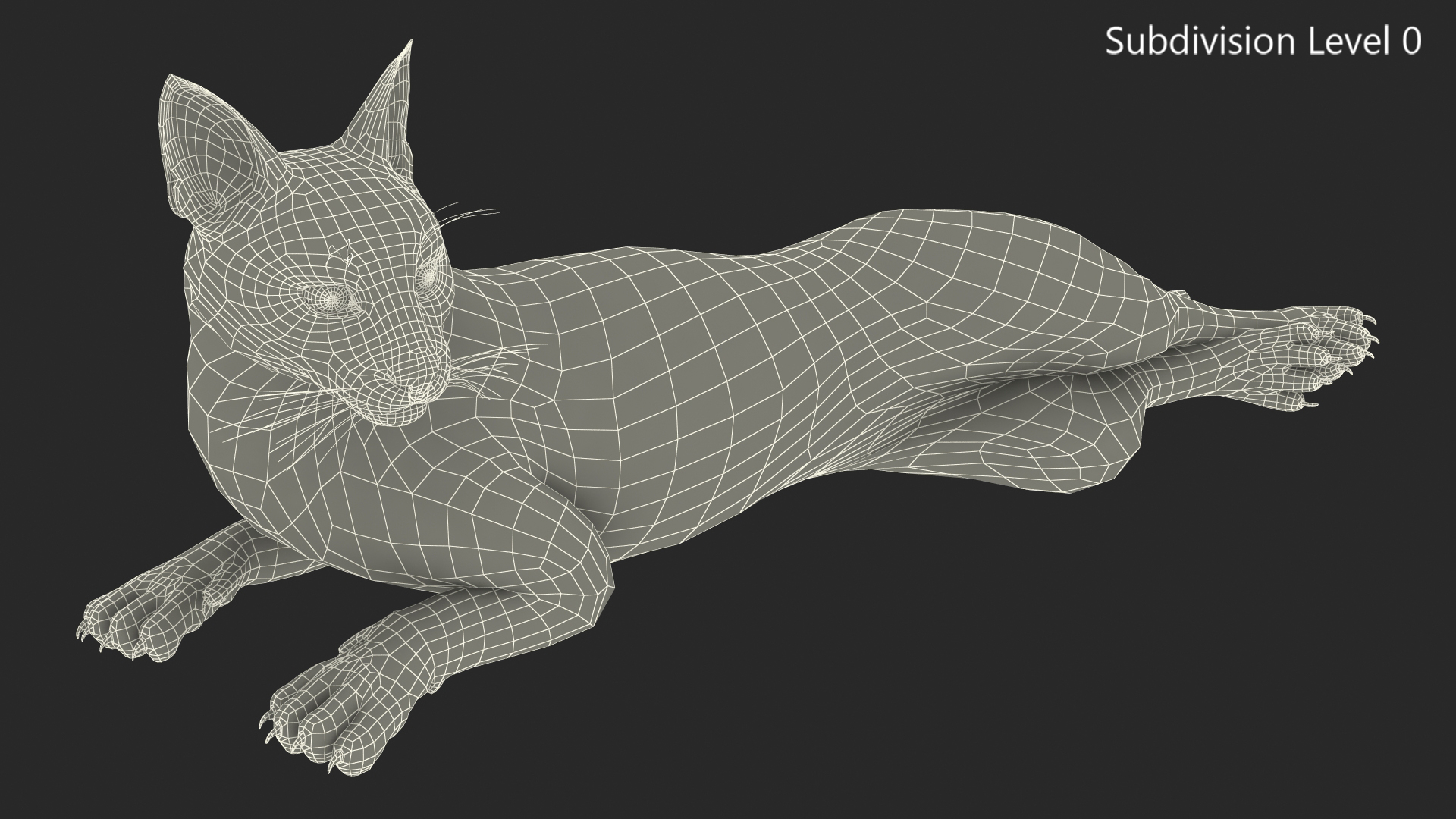 Caracal Cat Resting 3D model