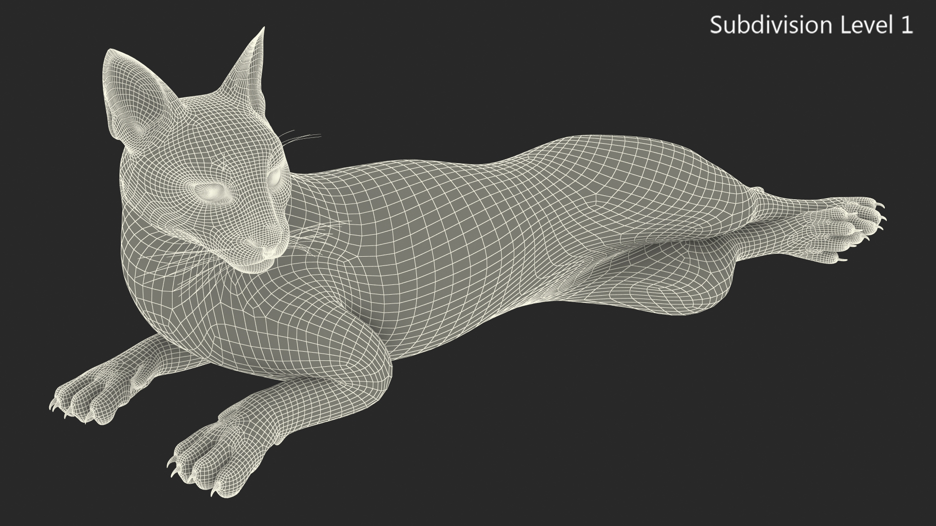 Caracal Cat Resting 3D model