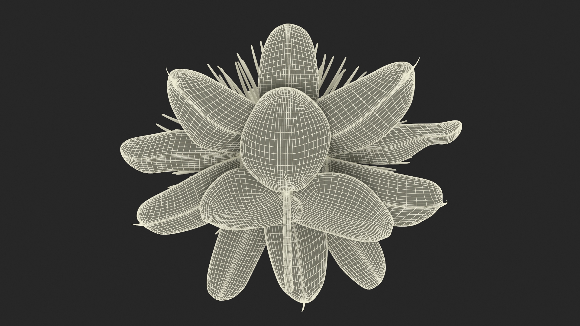 Passion Flower 3D model