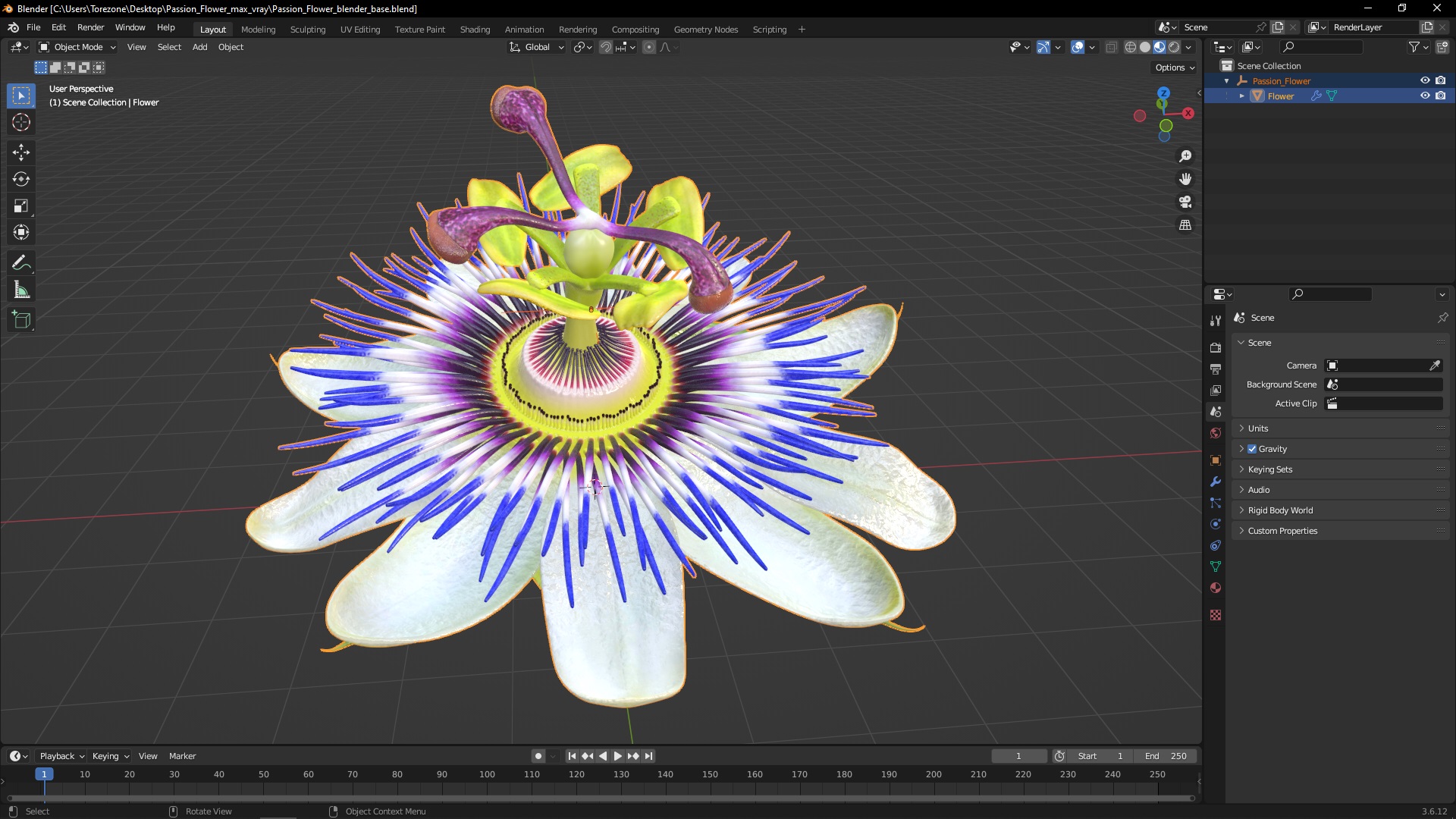 Passion Flower 3D model