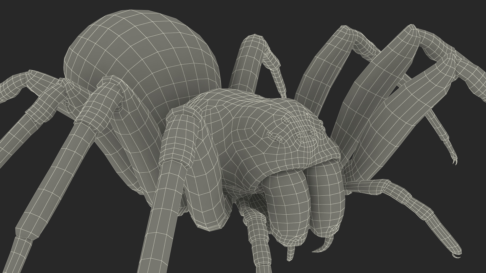 Black House Spider Fur Base Pose 3D