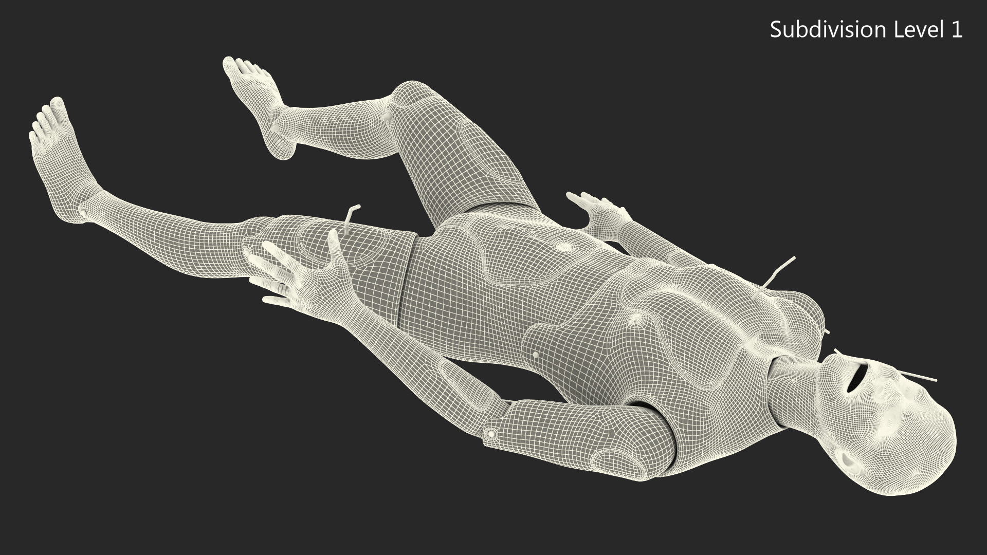 3D Trauma and Extrication Manikin Lying Pose