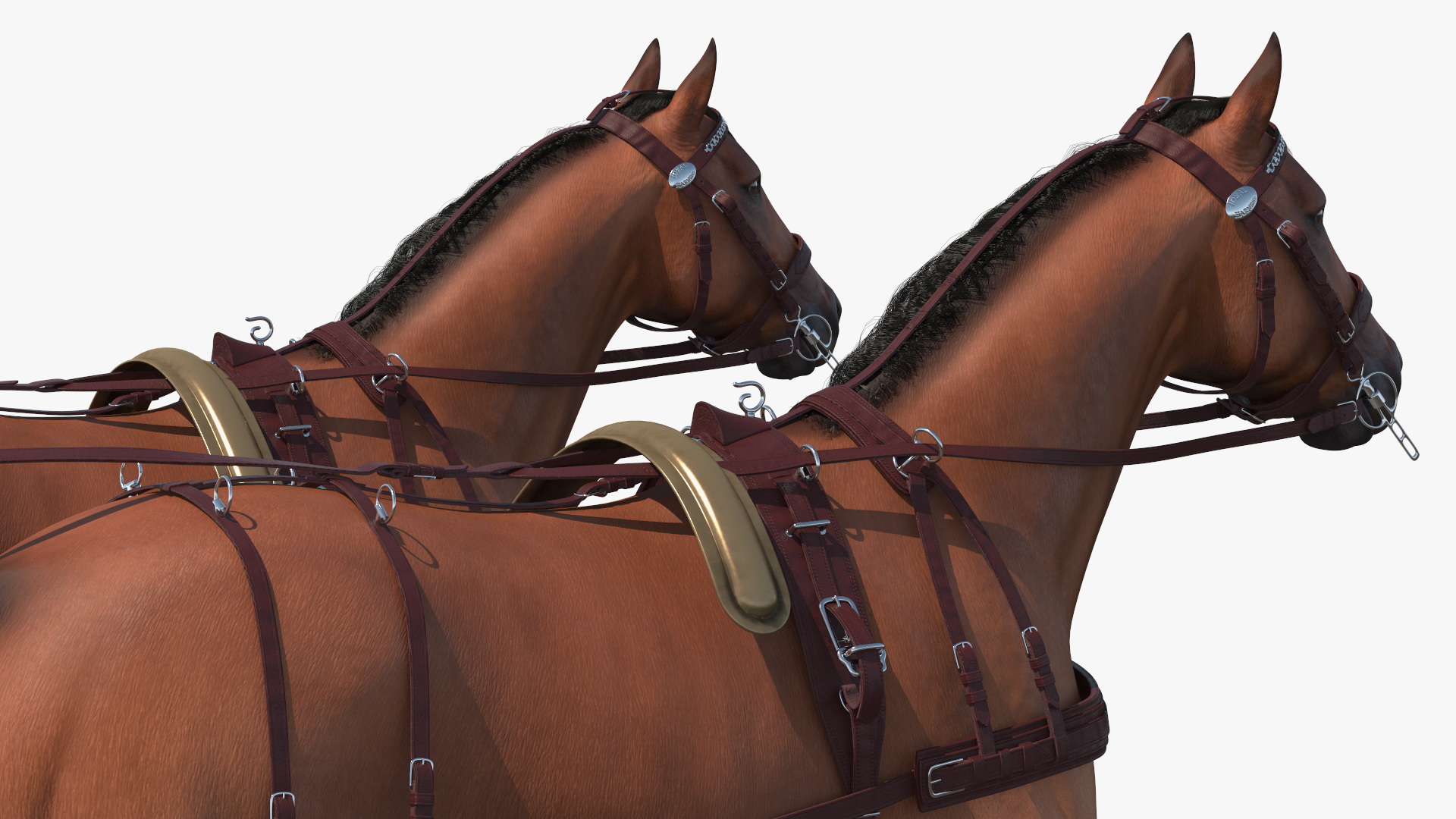 Roman Chariot with Horses Fur 3D model