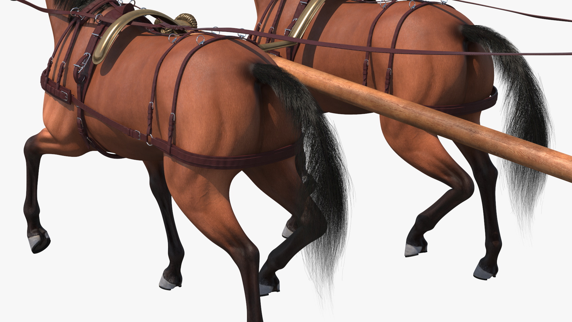 Roman Chariot with Horses Fur 3D model