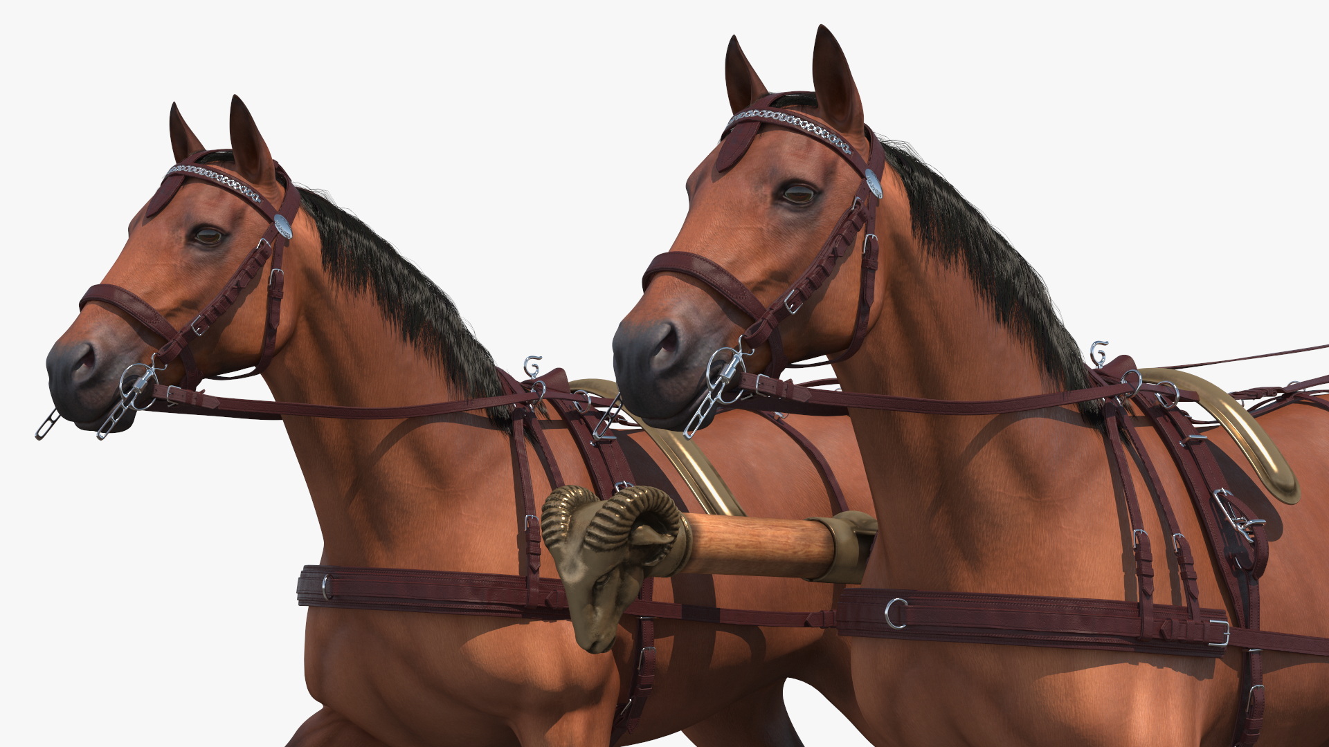 Roman Chariot with Horses Fur 3D model