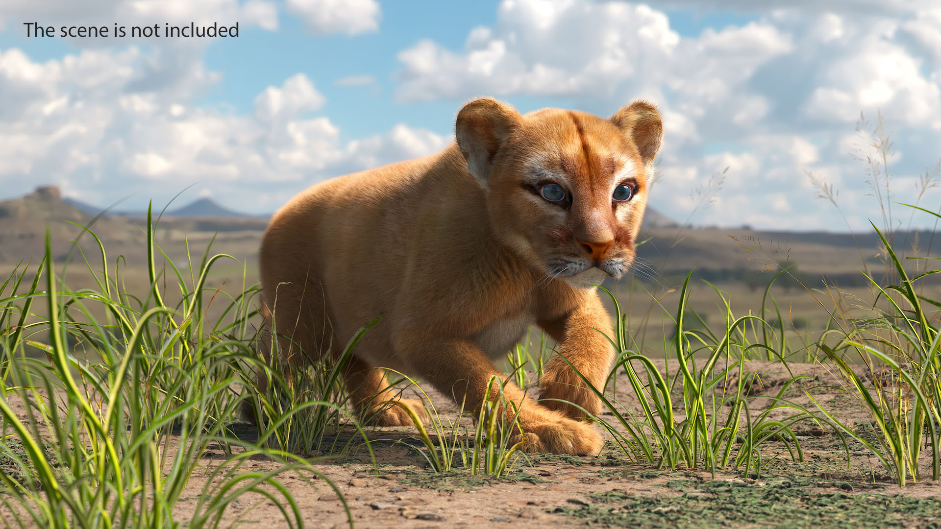 3D Puma Cub Sneaking Pose with Fur