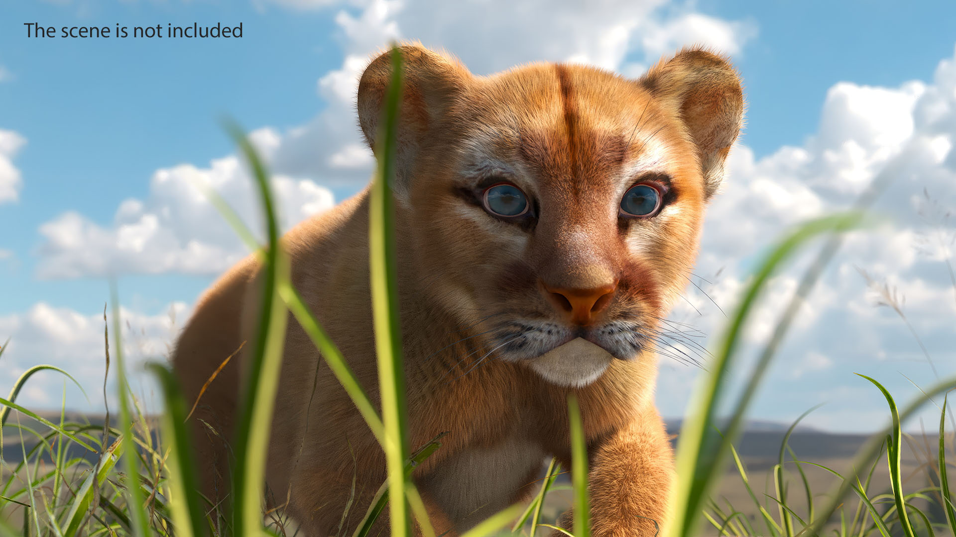 3D Puma Cub Sneaking Pose with Fur