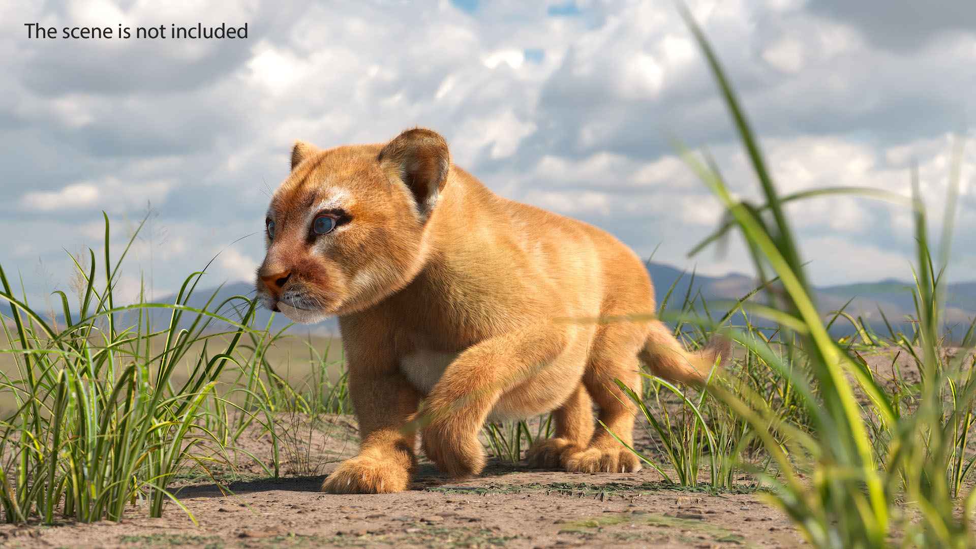 3D Puma Cub Sneaking Pose with Fur