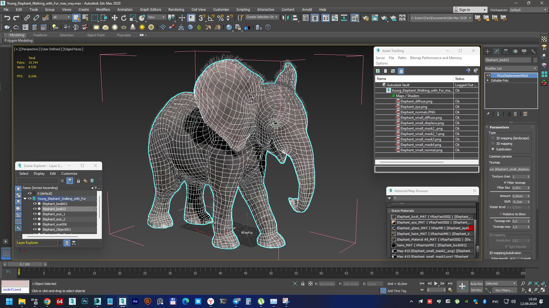 3D Young Elephant Walking with Fur