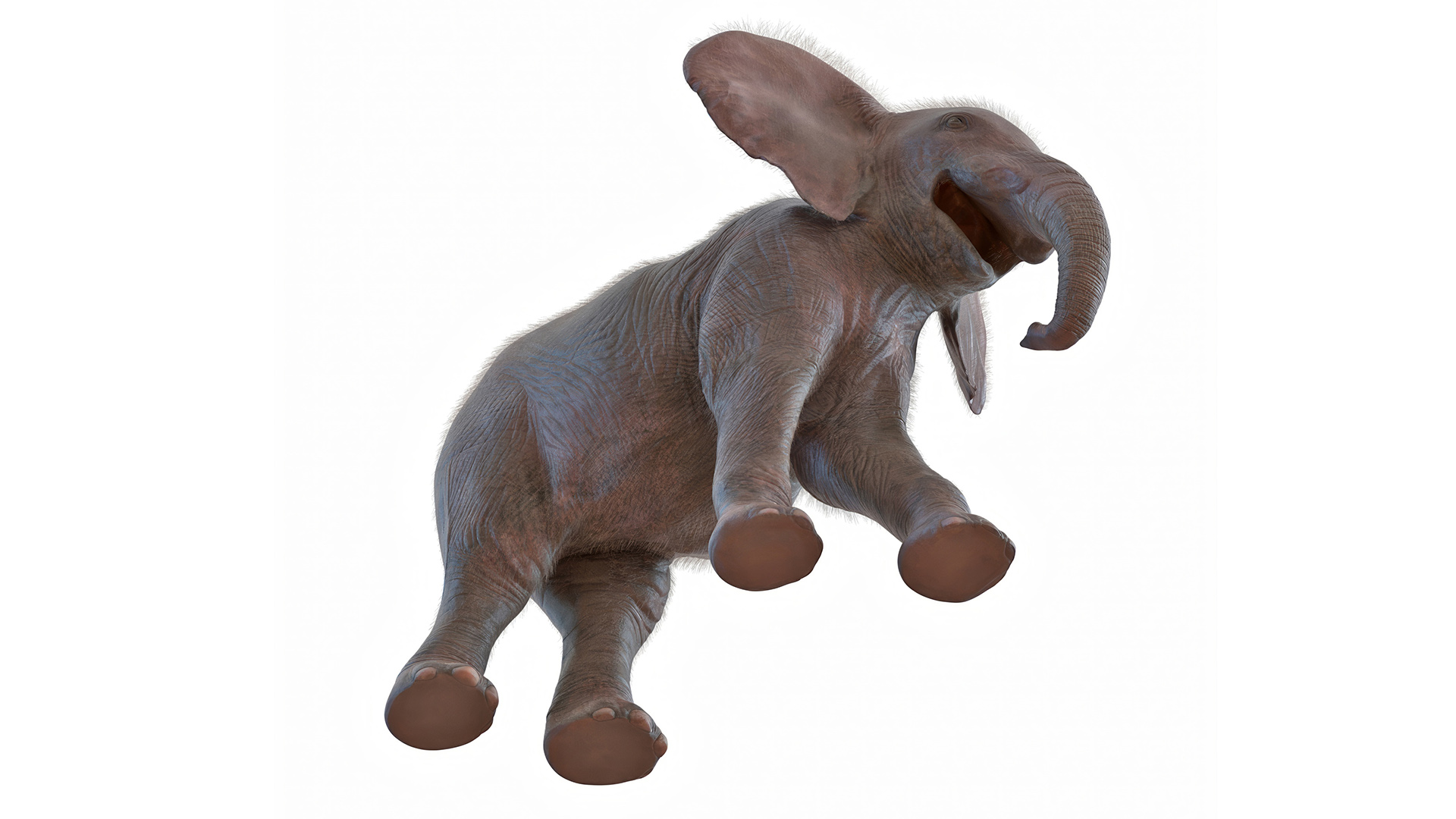 3D Young Elephant Walking with Fur