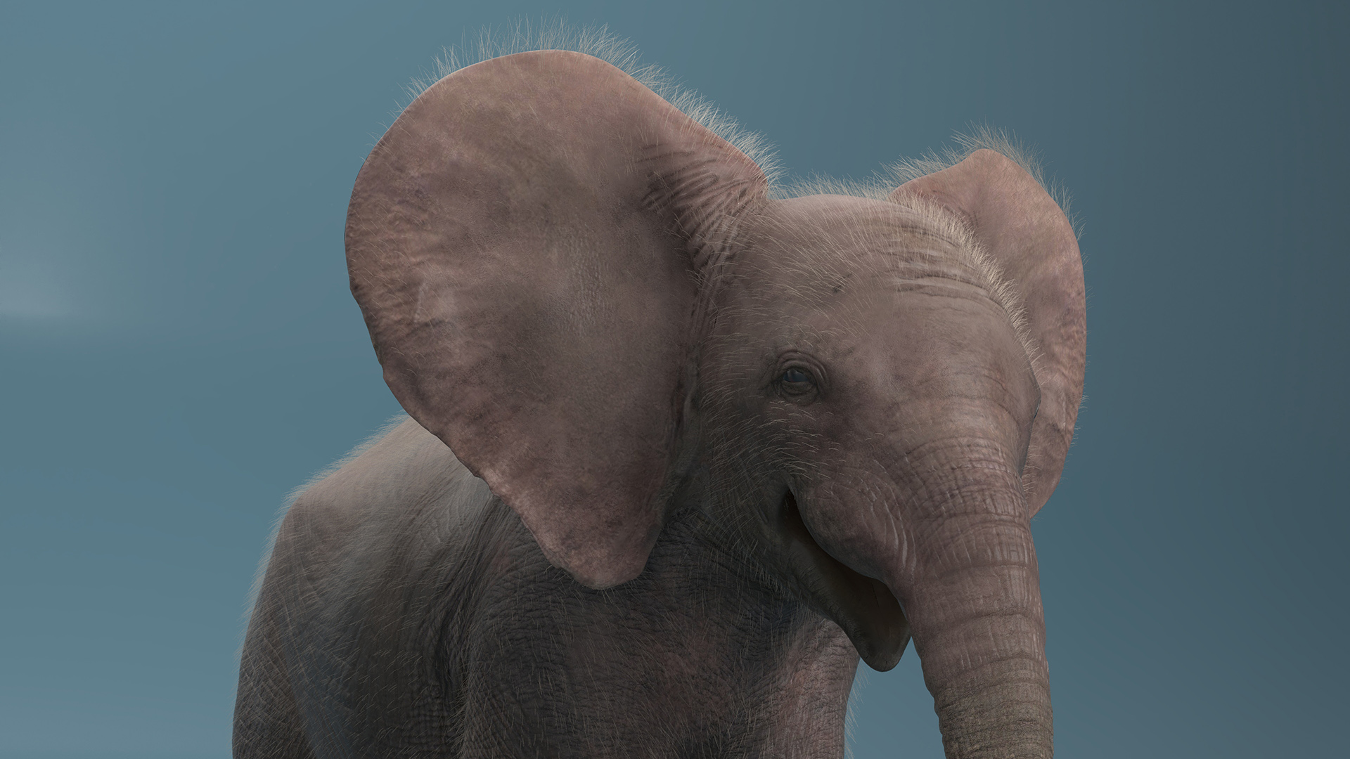 3D Young Elephant Walking with Fur