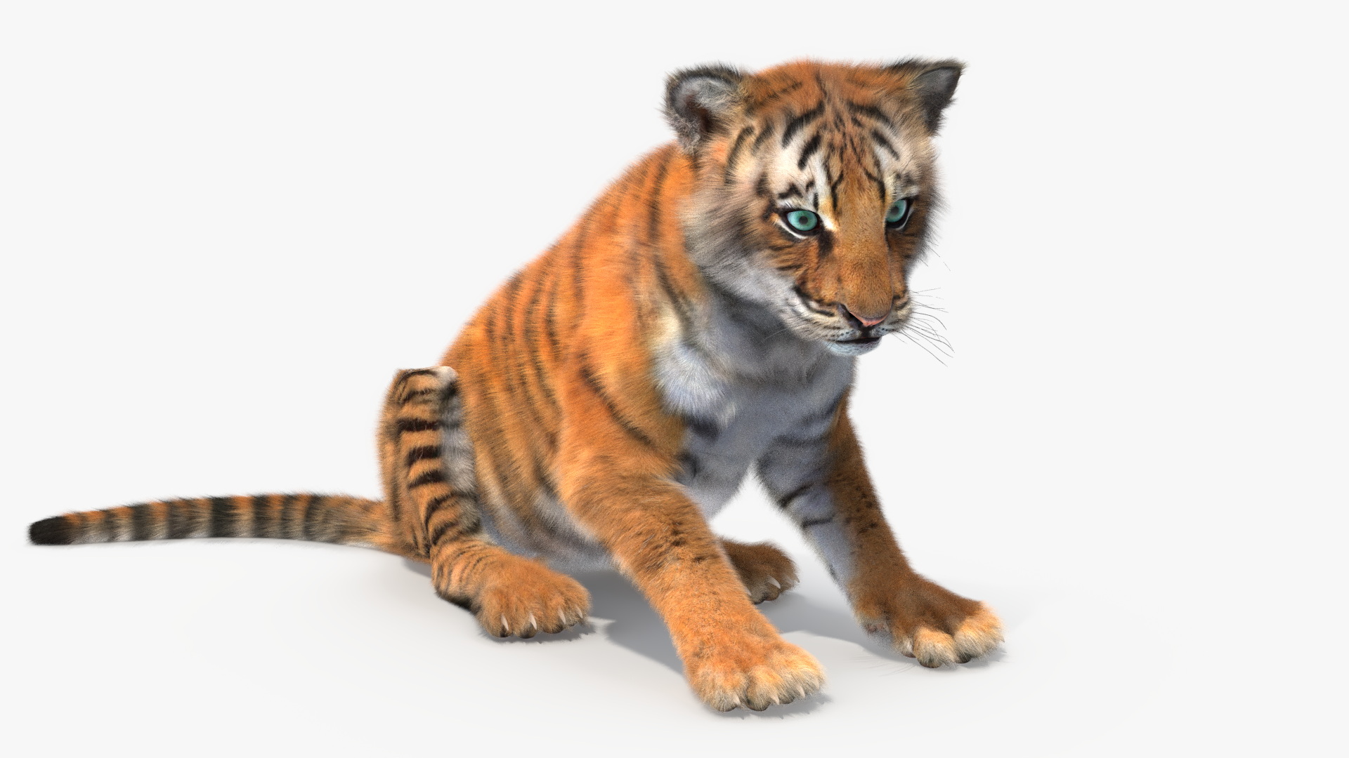 3D Tiger Cub Sitting Fur