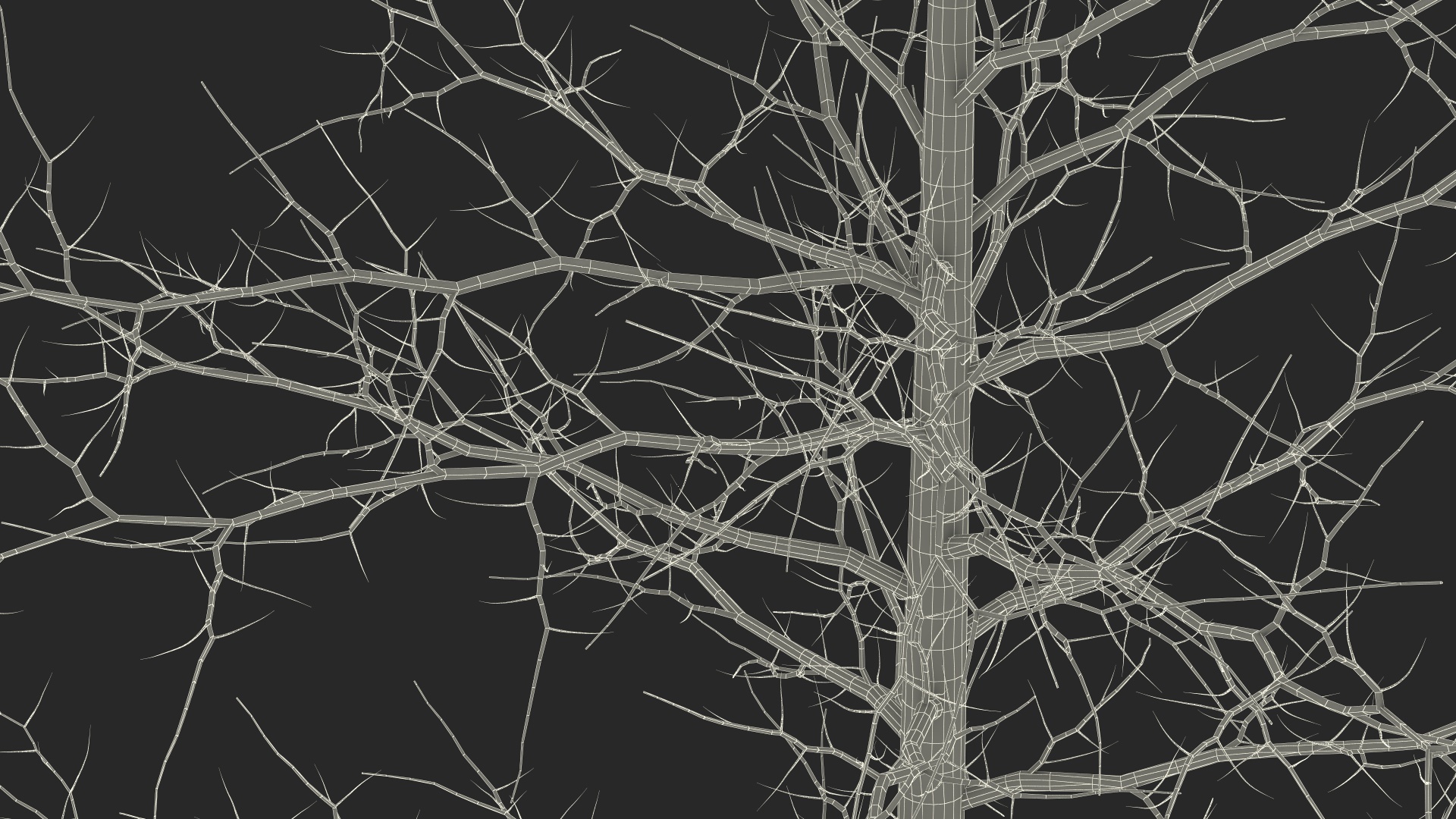 3D model Winter Bare Oak Tree