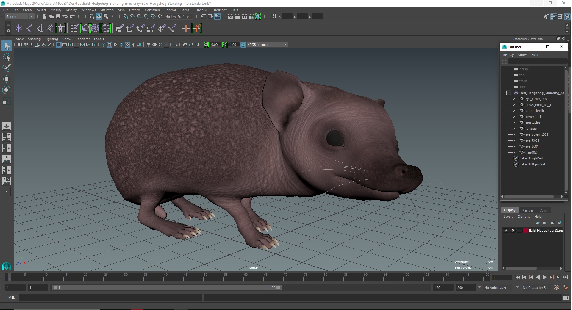 Bald Hedgehog Standing 3D