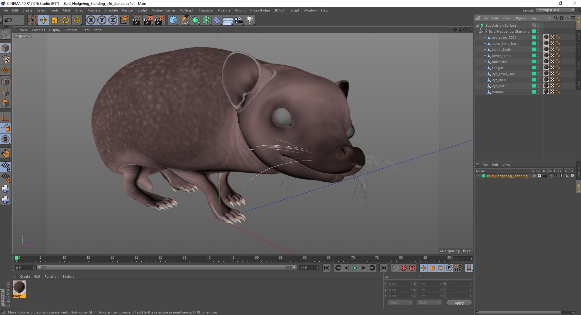 Bald Hedgehog Standing 3D