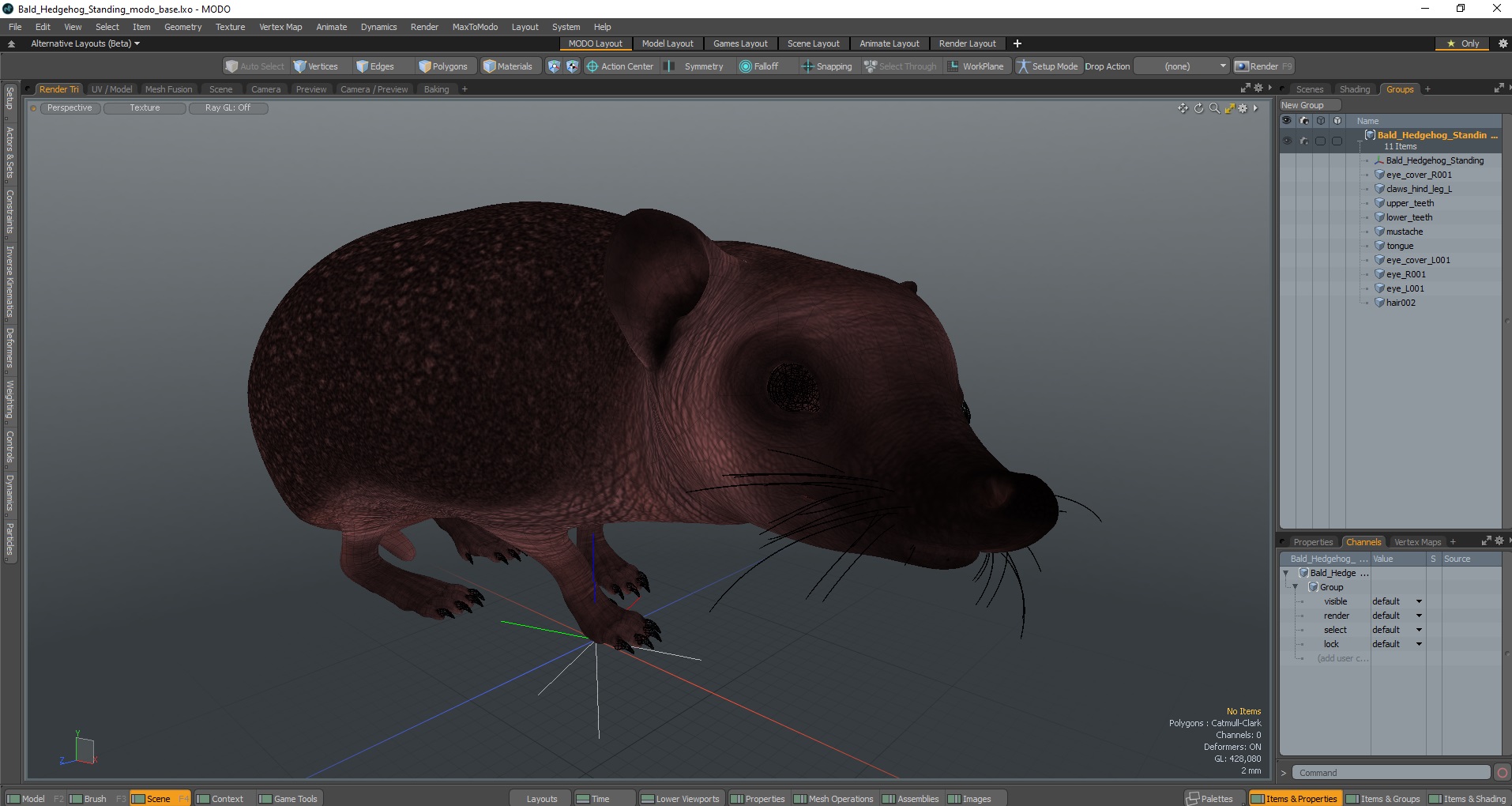 Bald Hedgehog Standing 3D