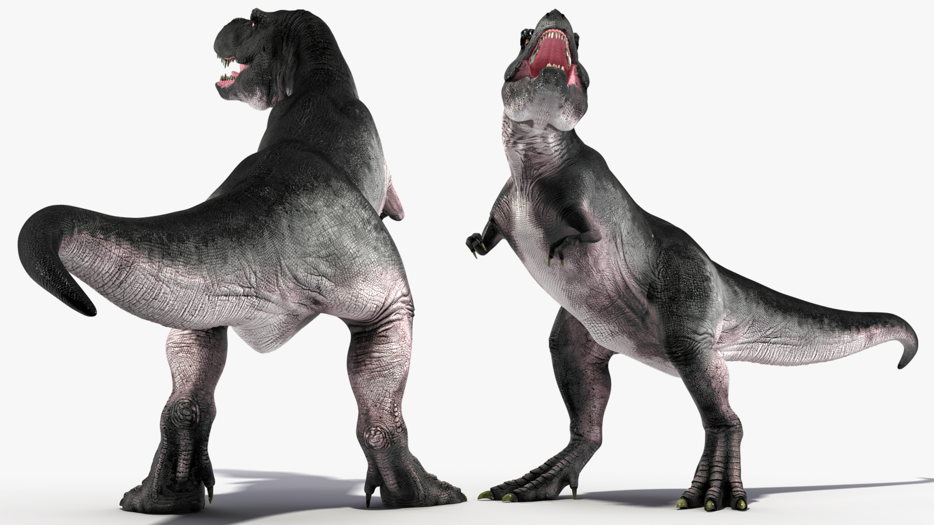 3D T Rex Stand Pose