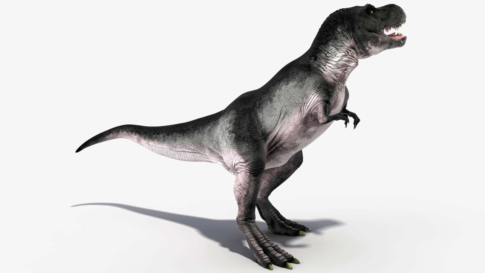 3D T Rex Stand Pose