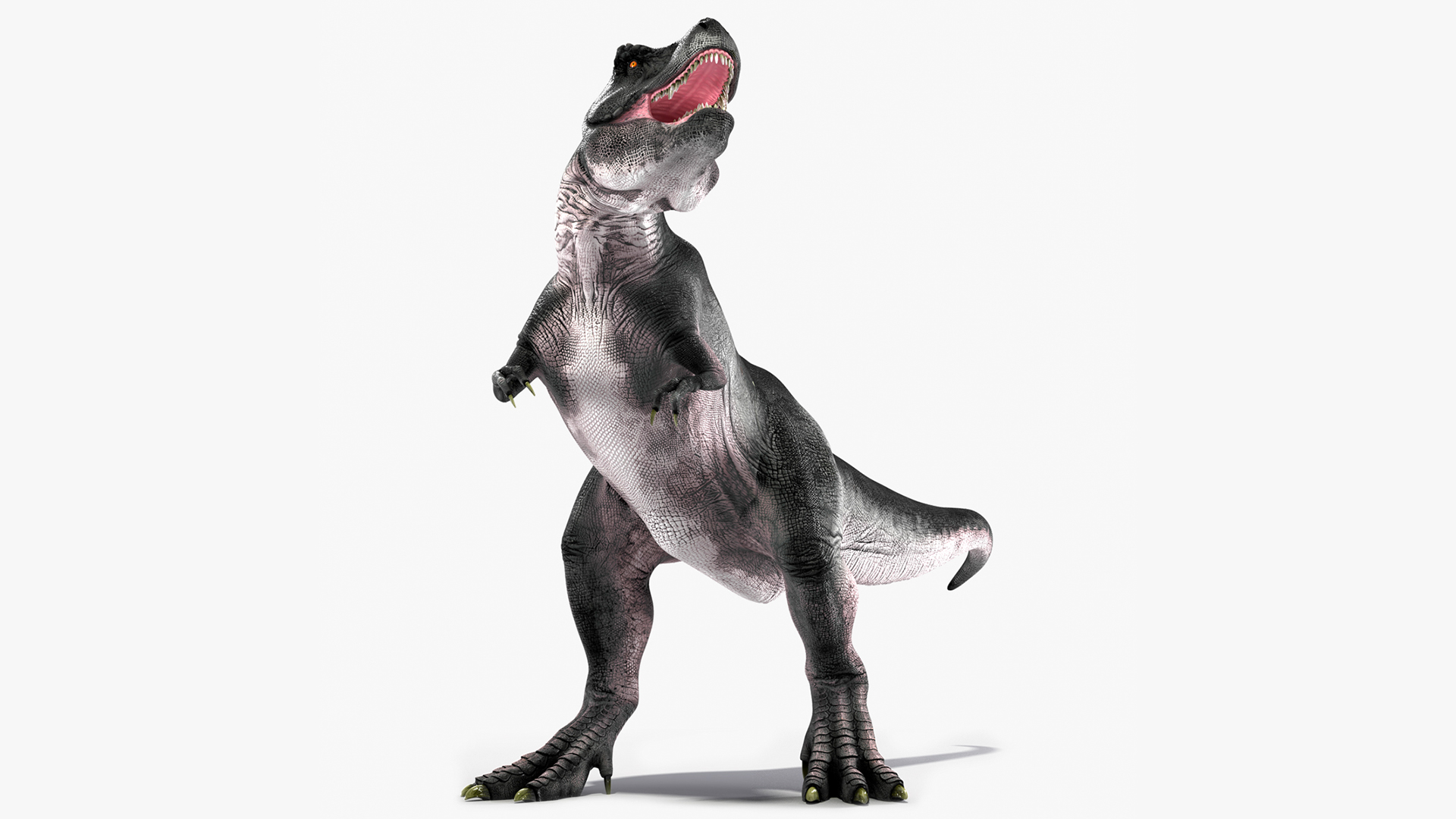 3D T Rex Stand Pose