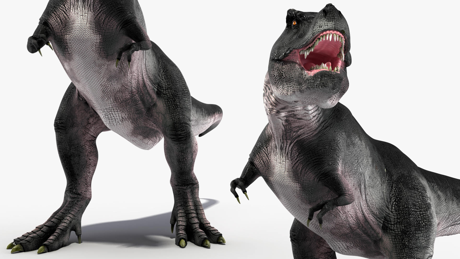 3D T Rex Stand Pose