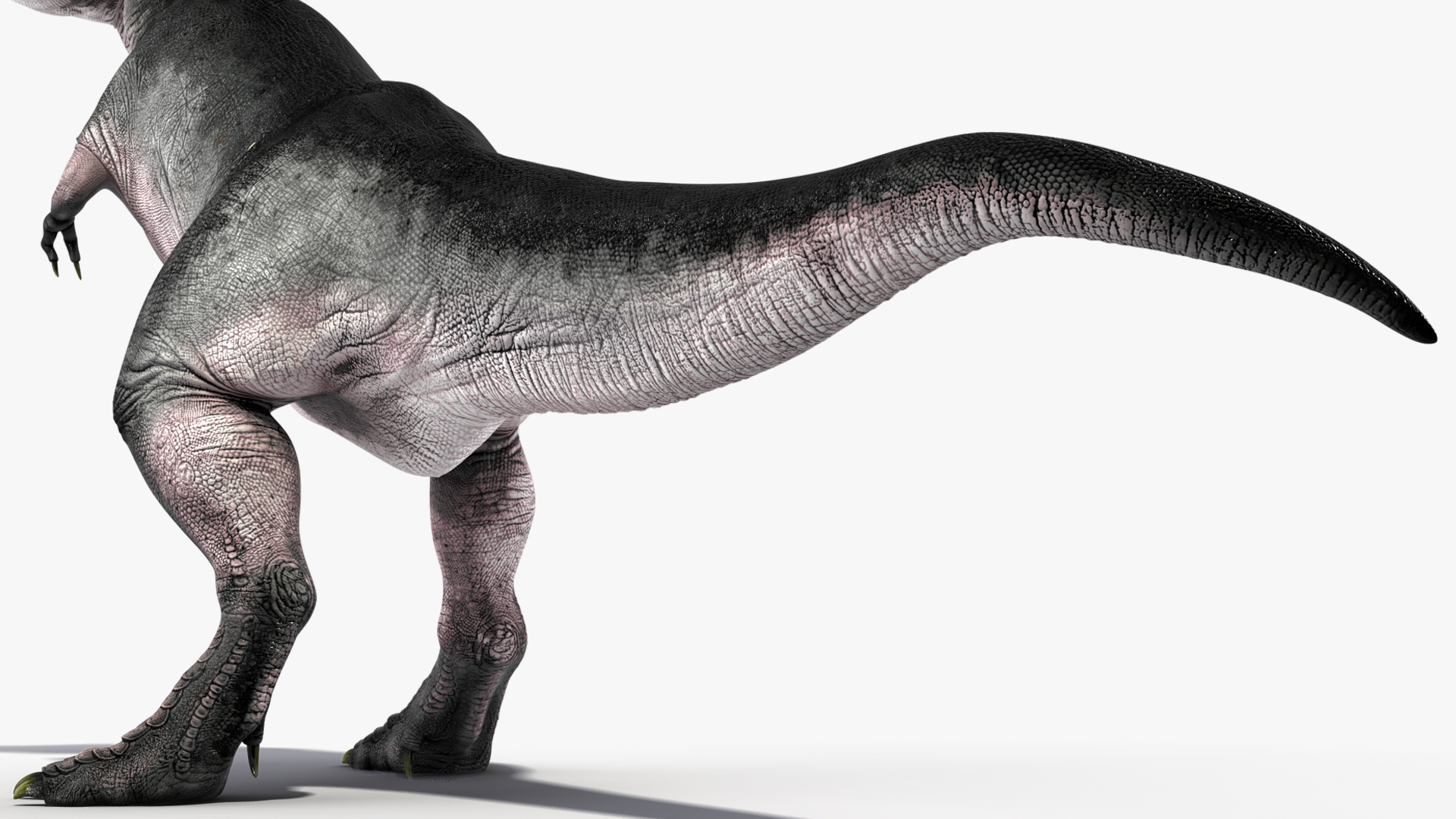 3D T Rex Stand Pose