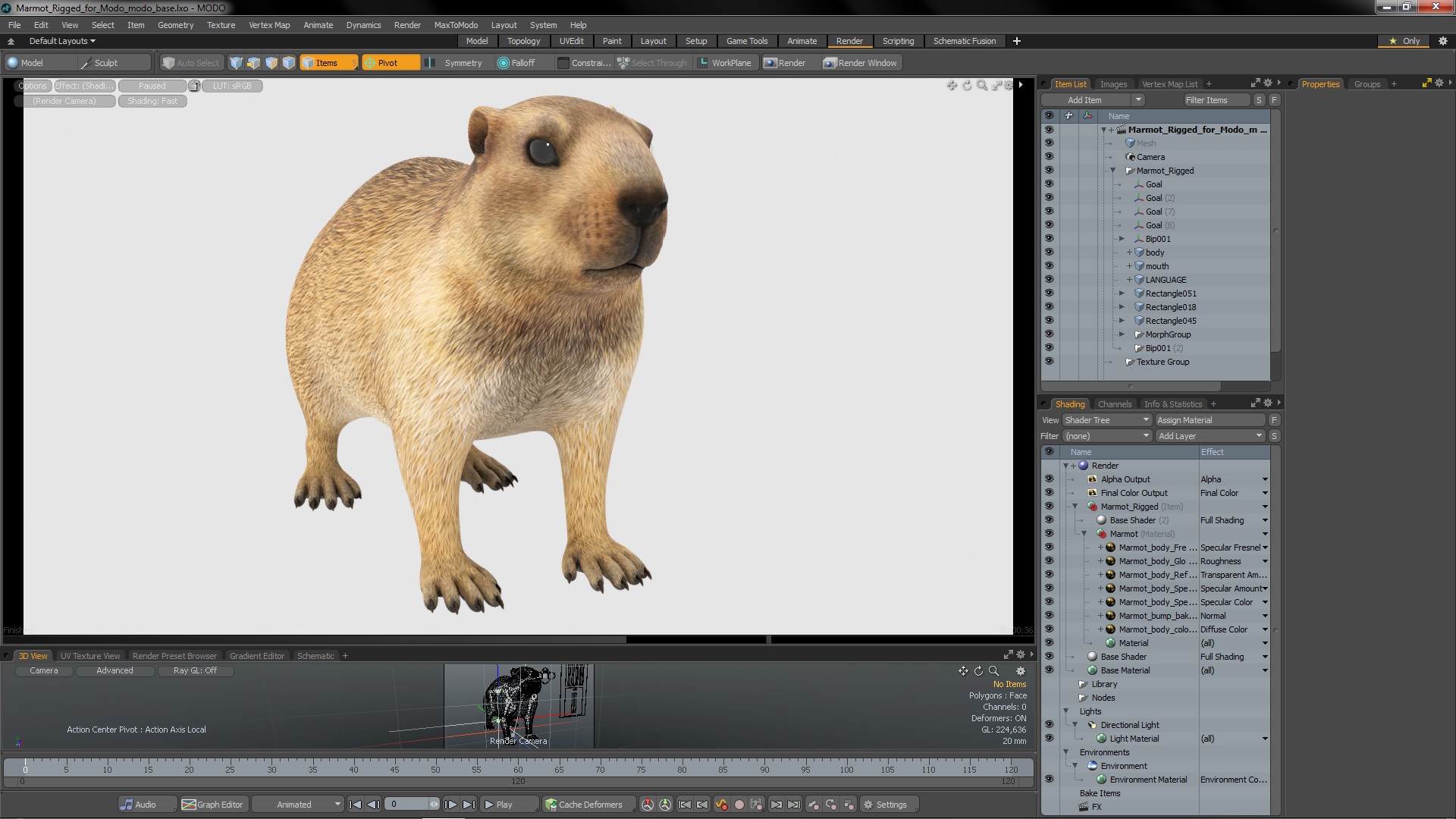 Marmot Rigged for Modo 3D