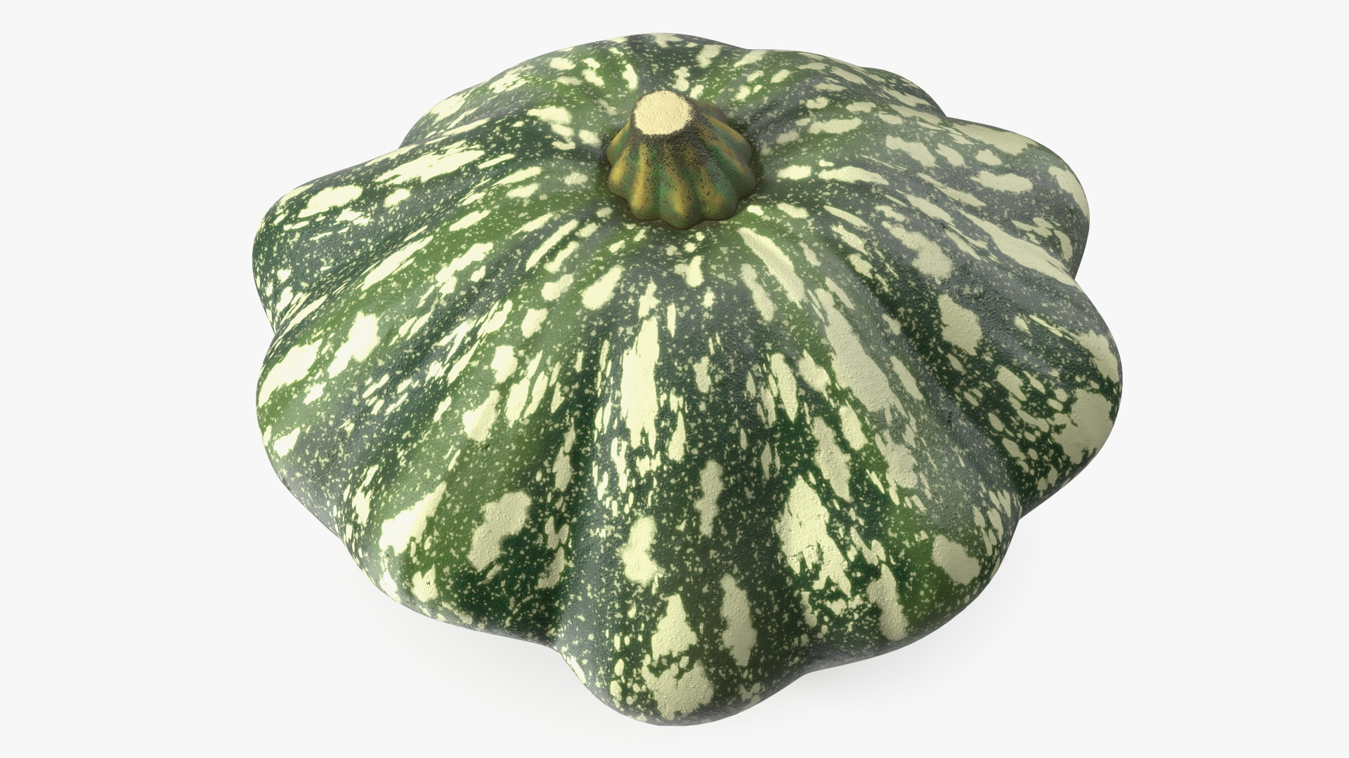 Green Color Bush Pumpkin 3D model