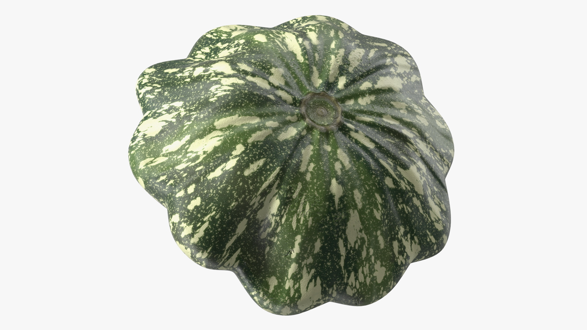 Green Color Bush Pumpkin 3D model