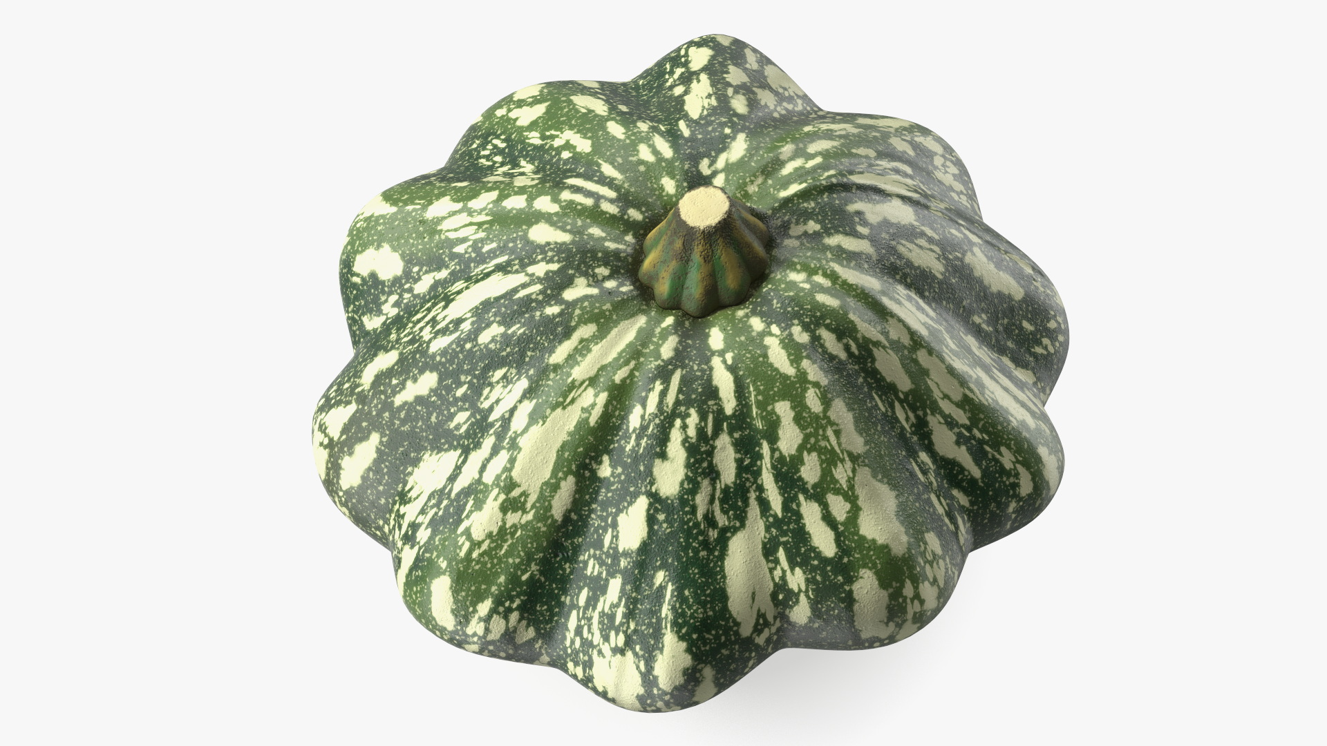 Green Color Bush Pumpkin 3D model