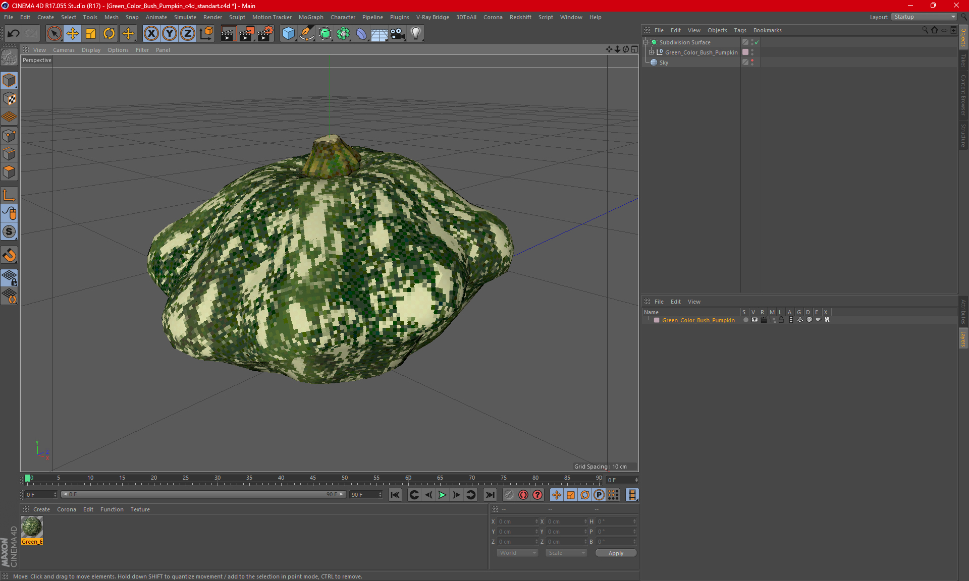 Green Color Bush Pumpkin 3D model