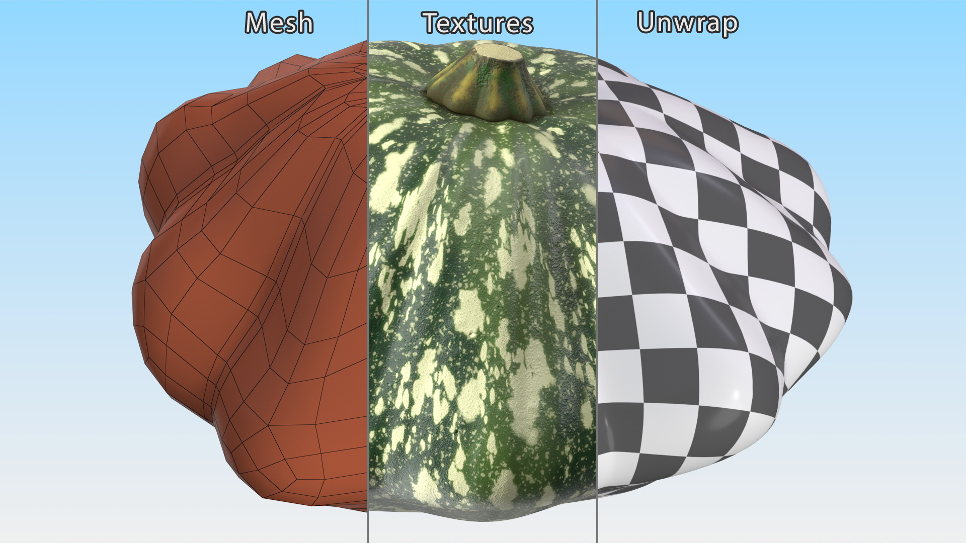 Green Color Bush Pumpkin 3D model