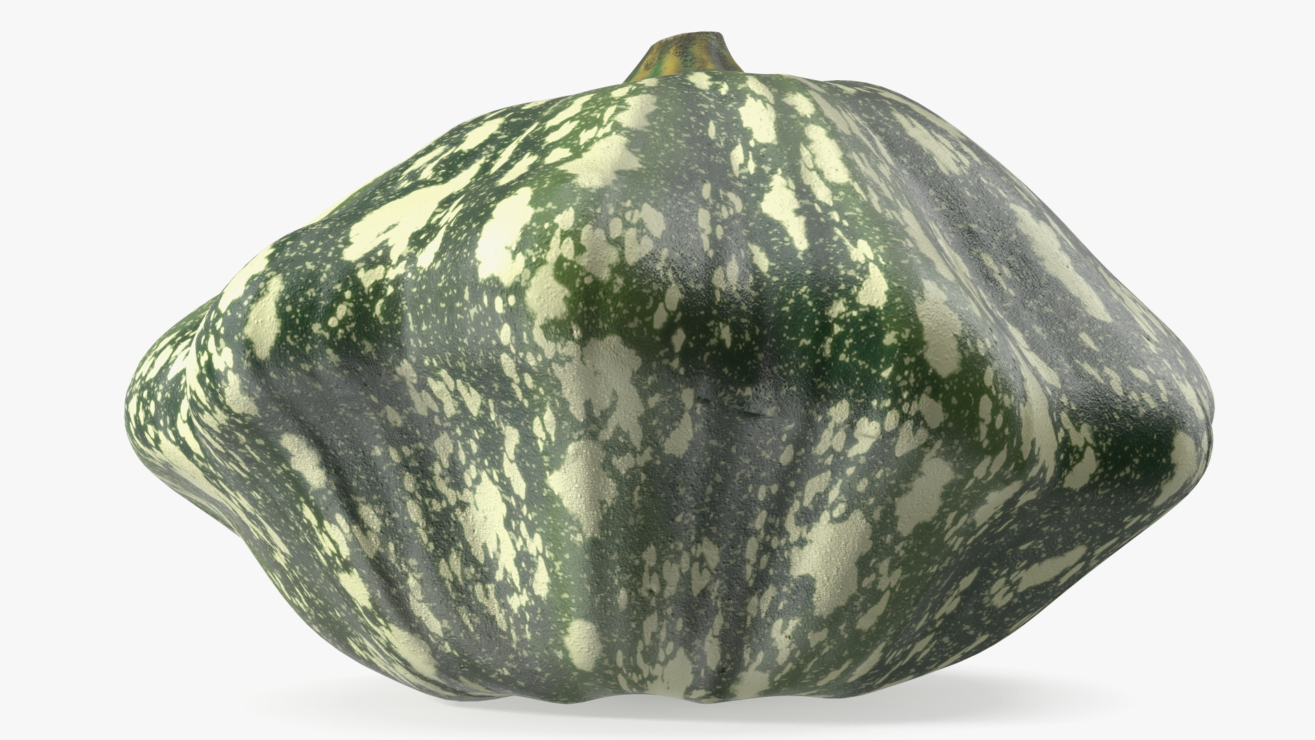 Green Color Bush Pumpkin 3D model