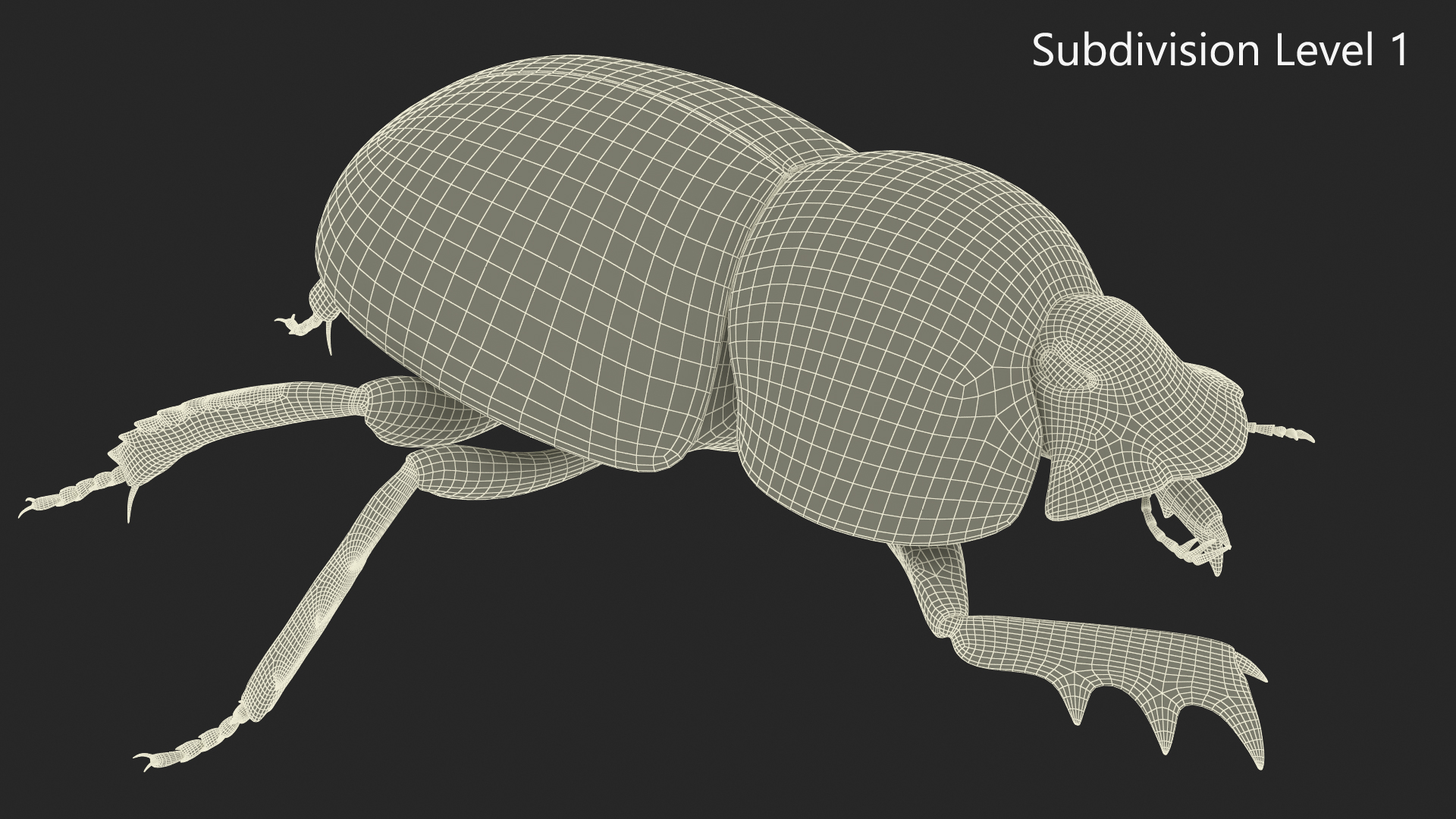 Soil Beetle Crawling Fur 3D model