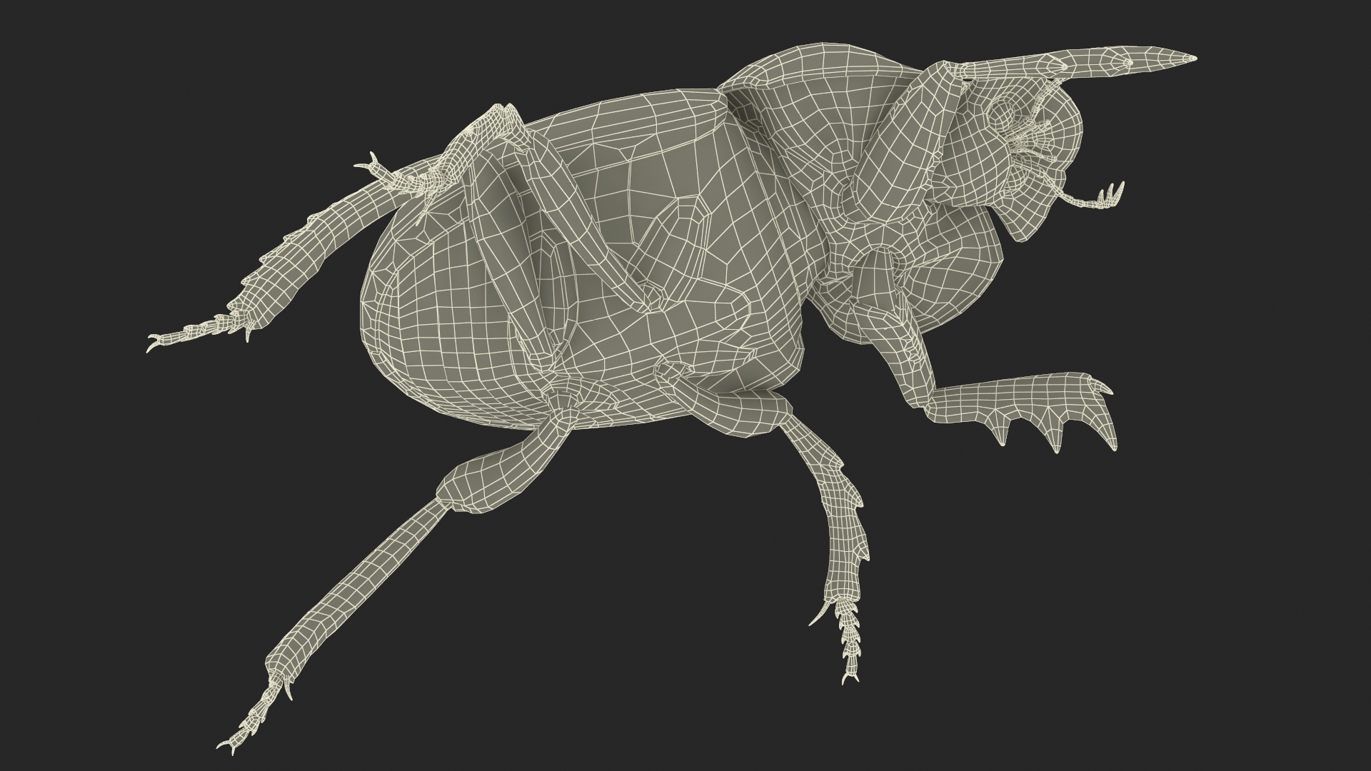 Soil Beetle Crawling Fur 3D model