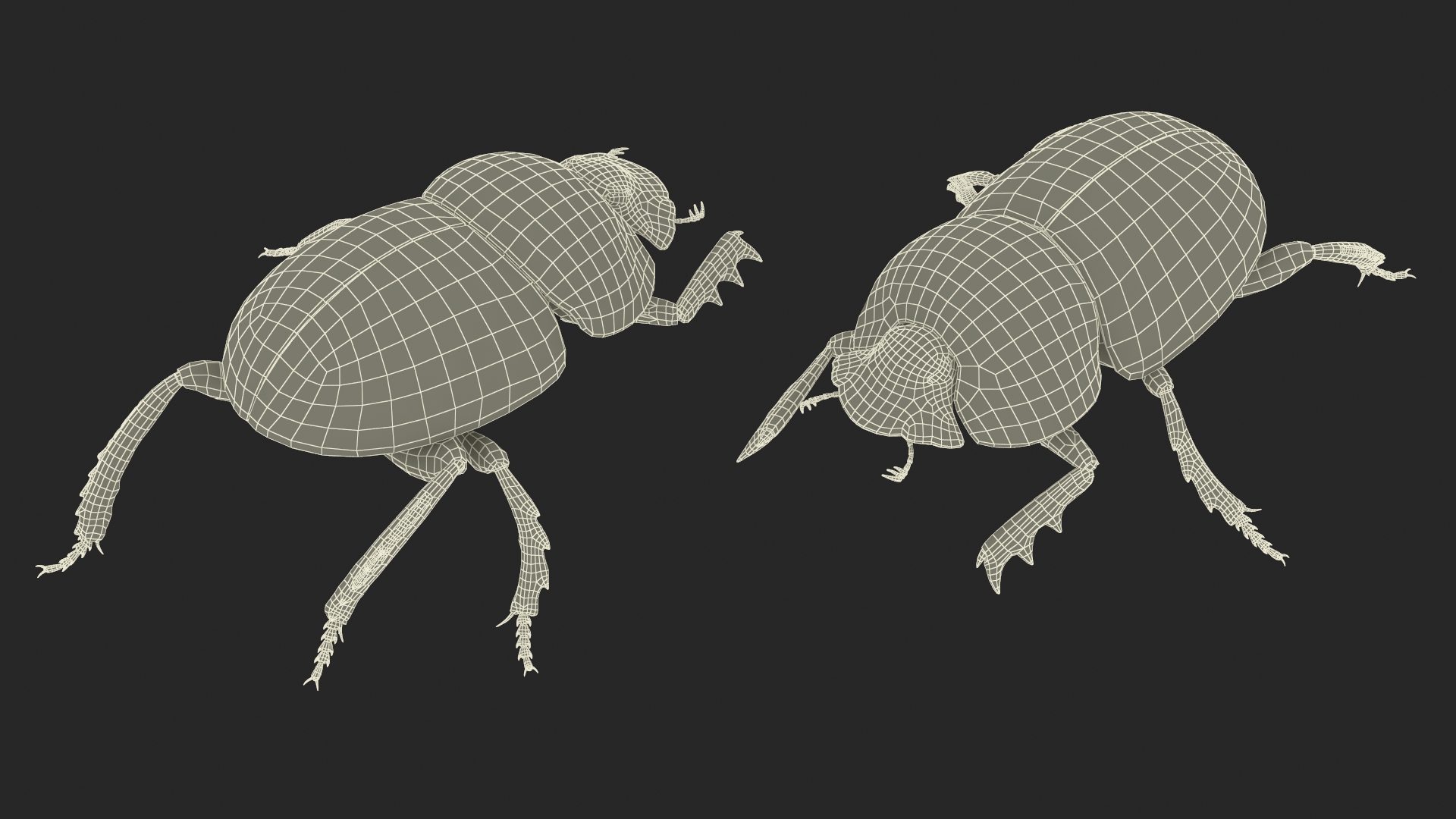 Soil Beetle Crawling Fur 3D model