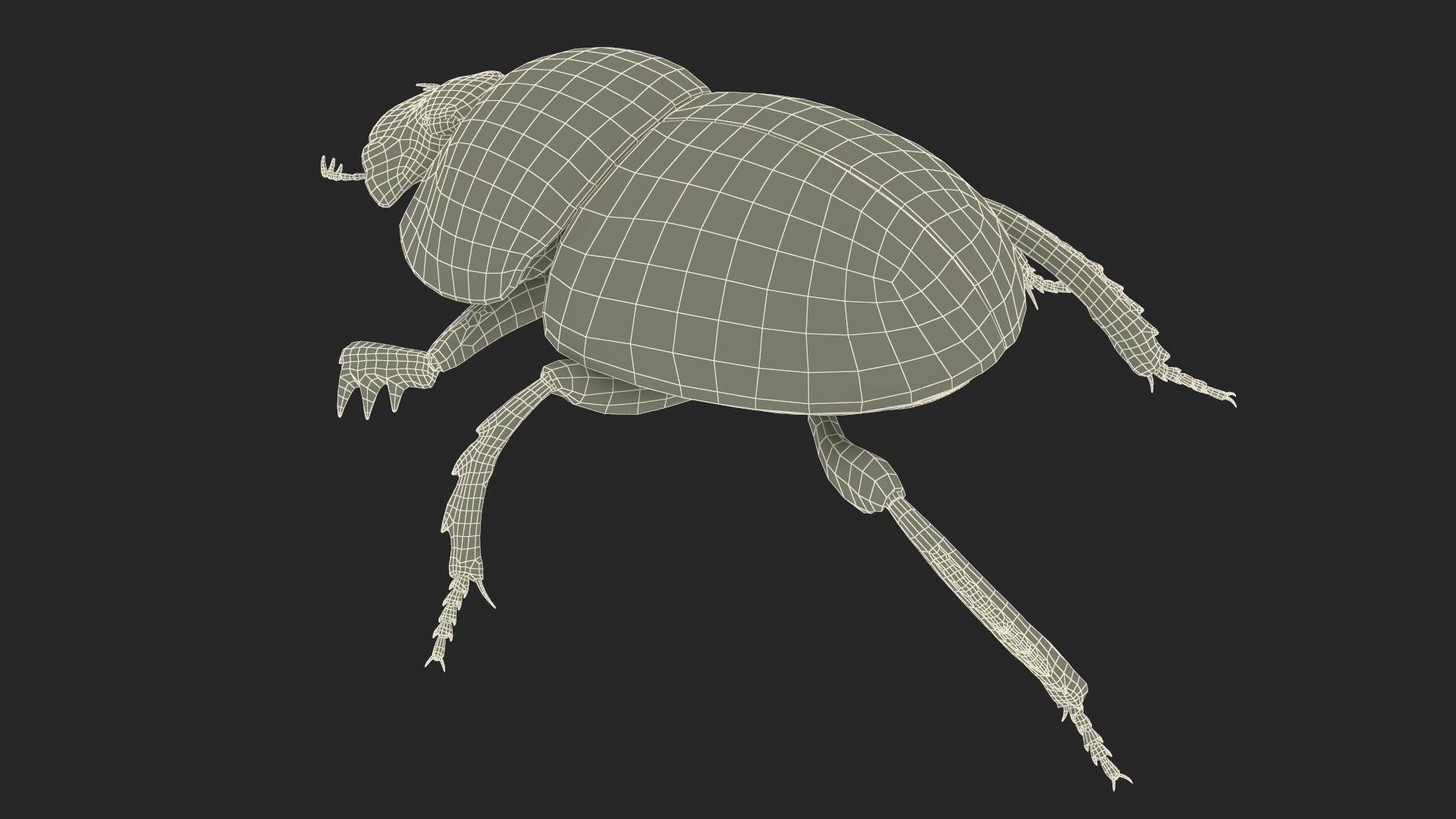 Soil Beetle Crawling Fur 3D model