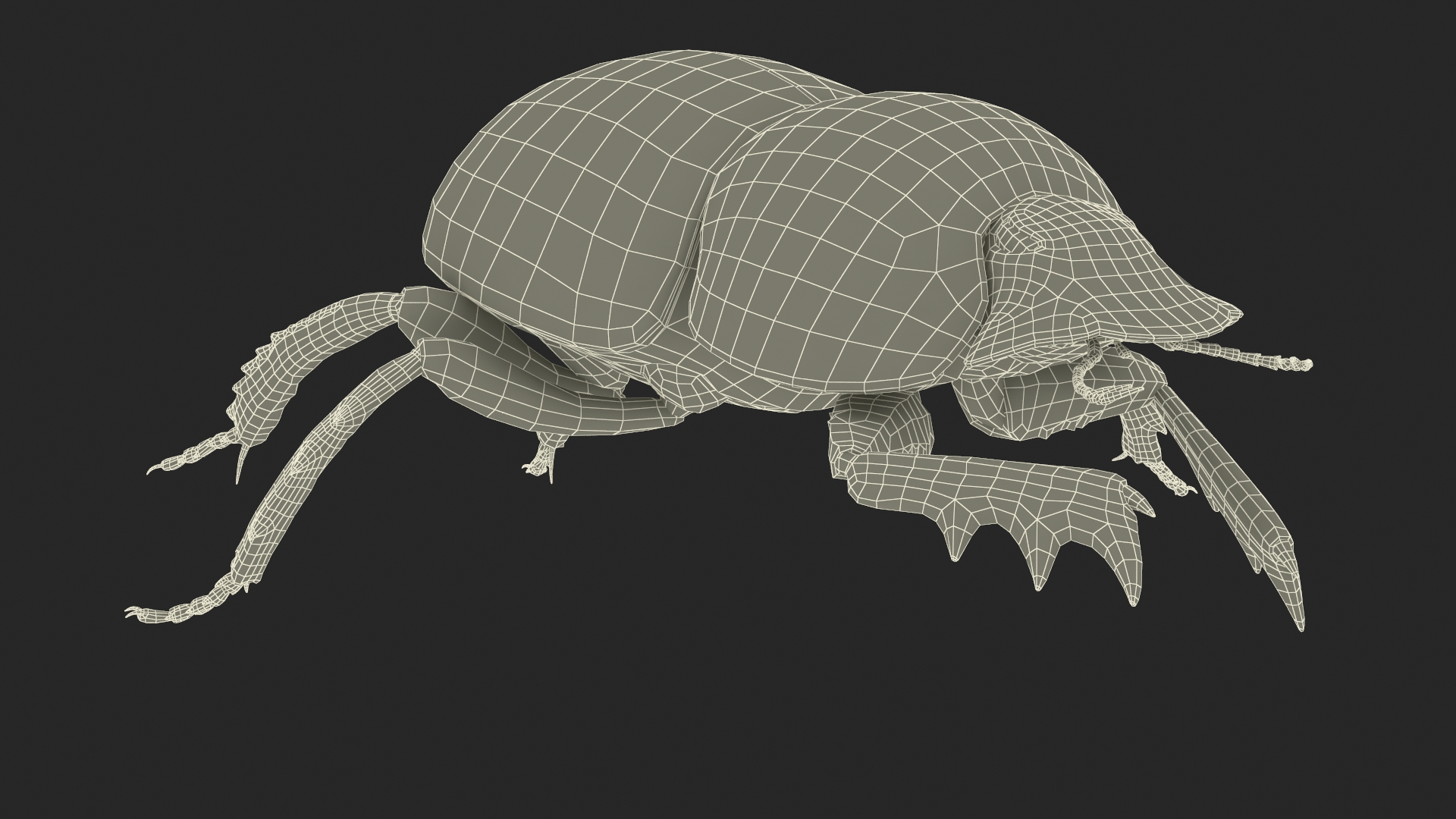 Soil Beetle Crawling Fur 3D model