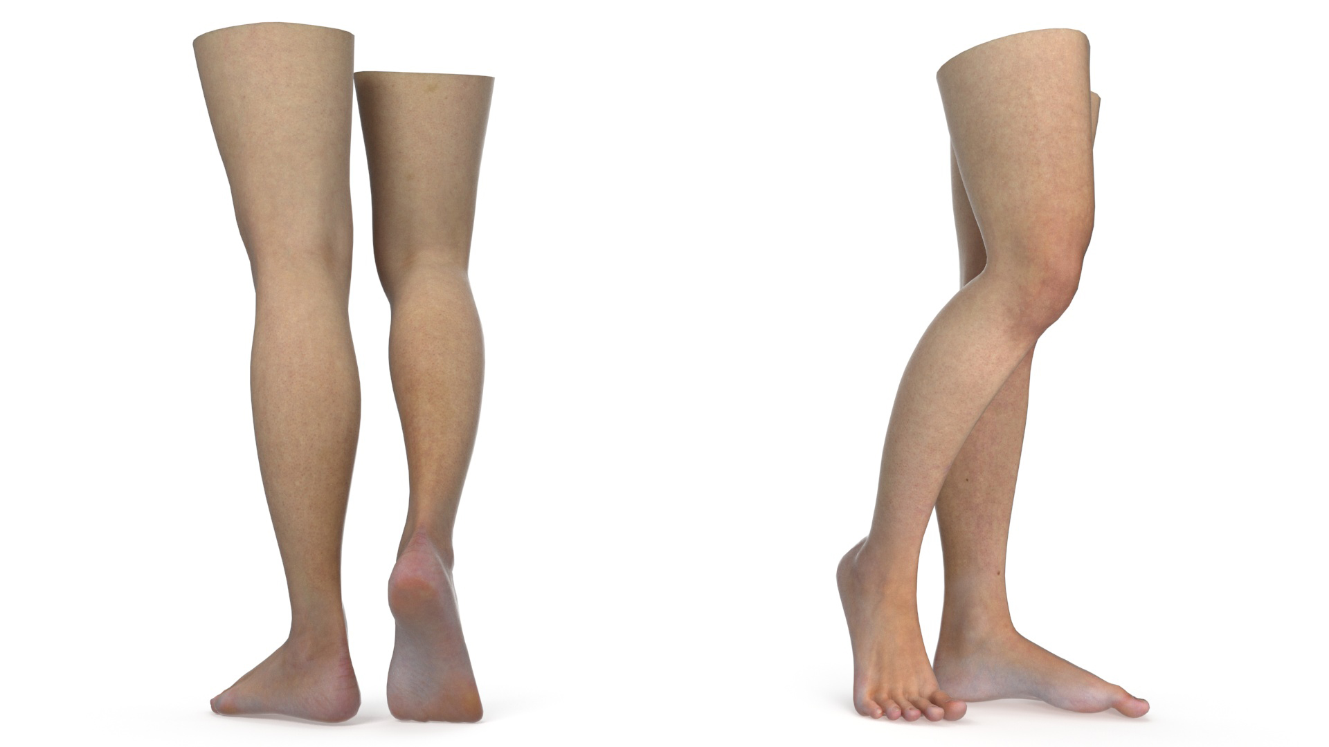 3D Realistic Female Lower Legs and Feet