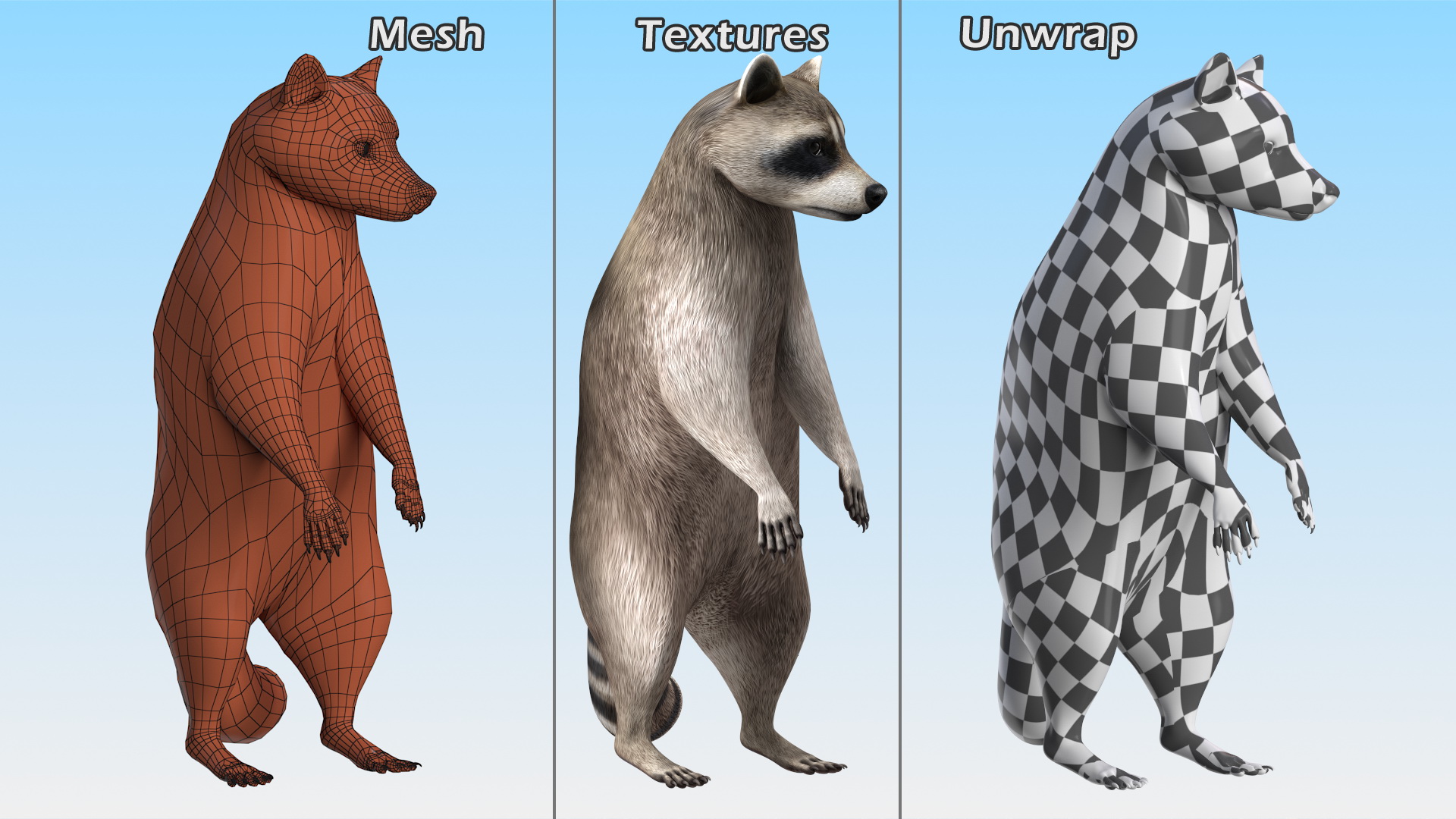 3D Raccoon Standing Pose