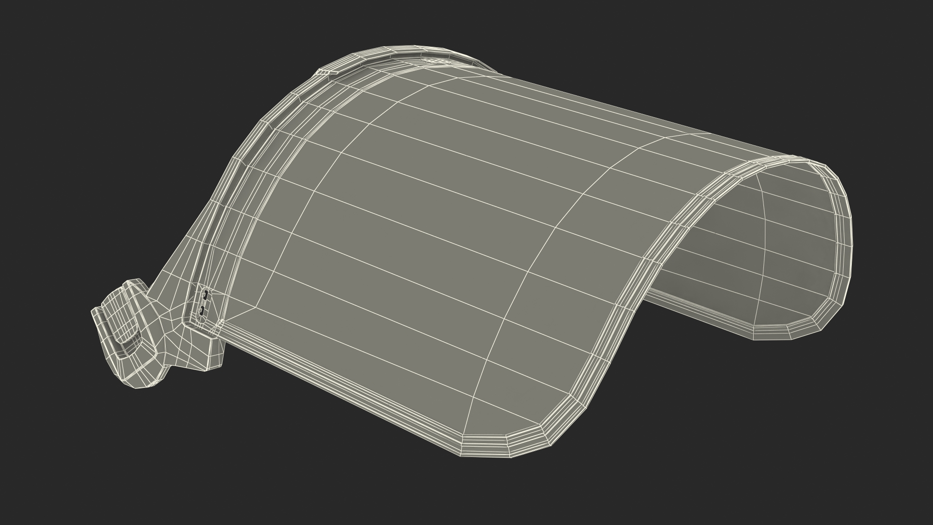 3D Mesh Shield