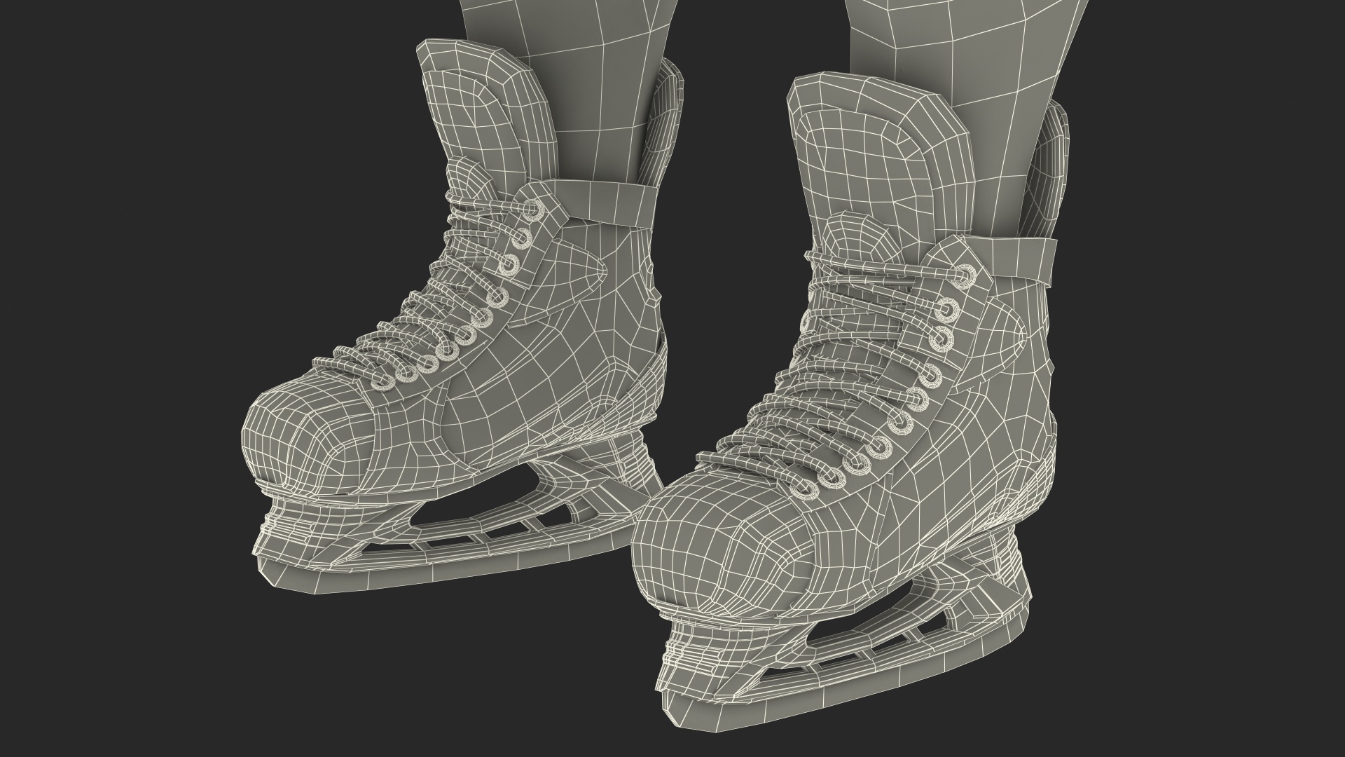 Hockey Equipment White 3D