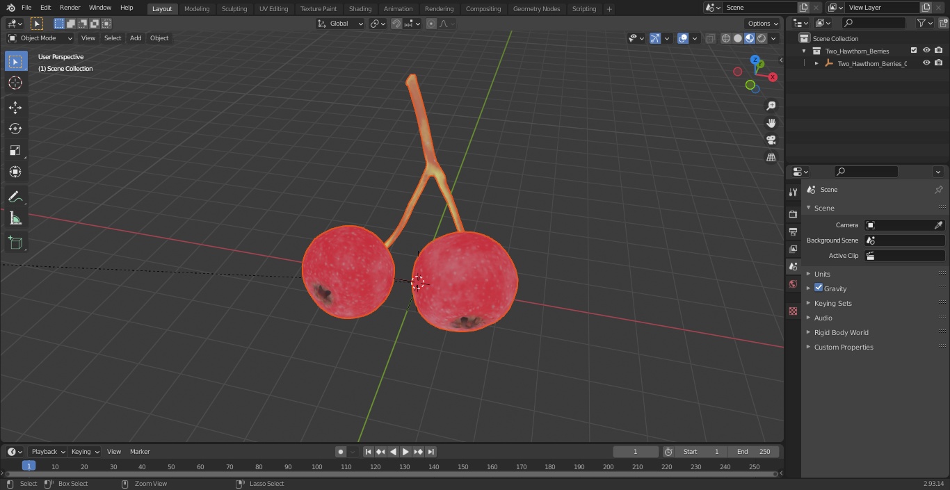 3D model Two Hawthorn Berries